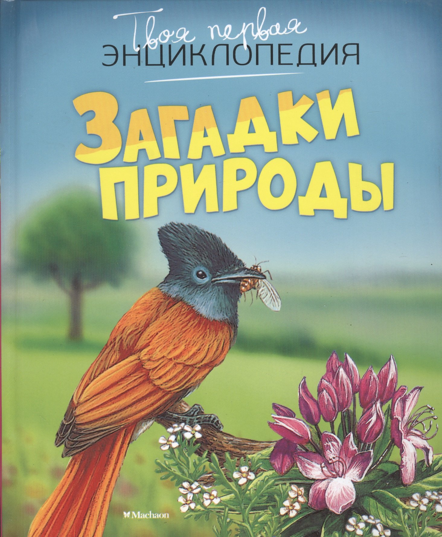

Загадки природы