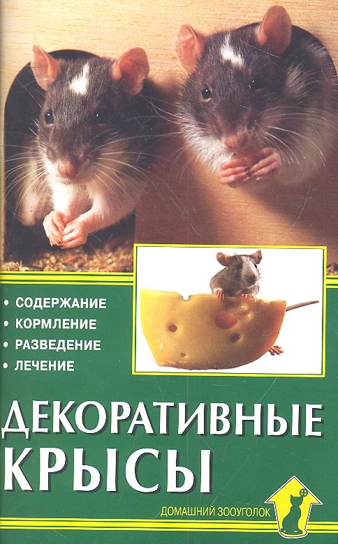 

Декоративные крысы