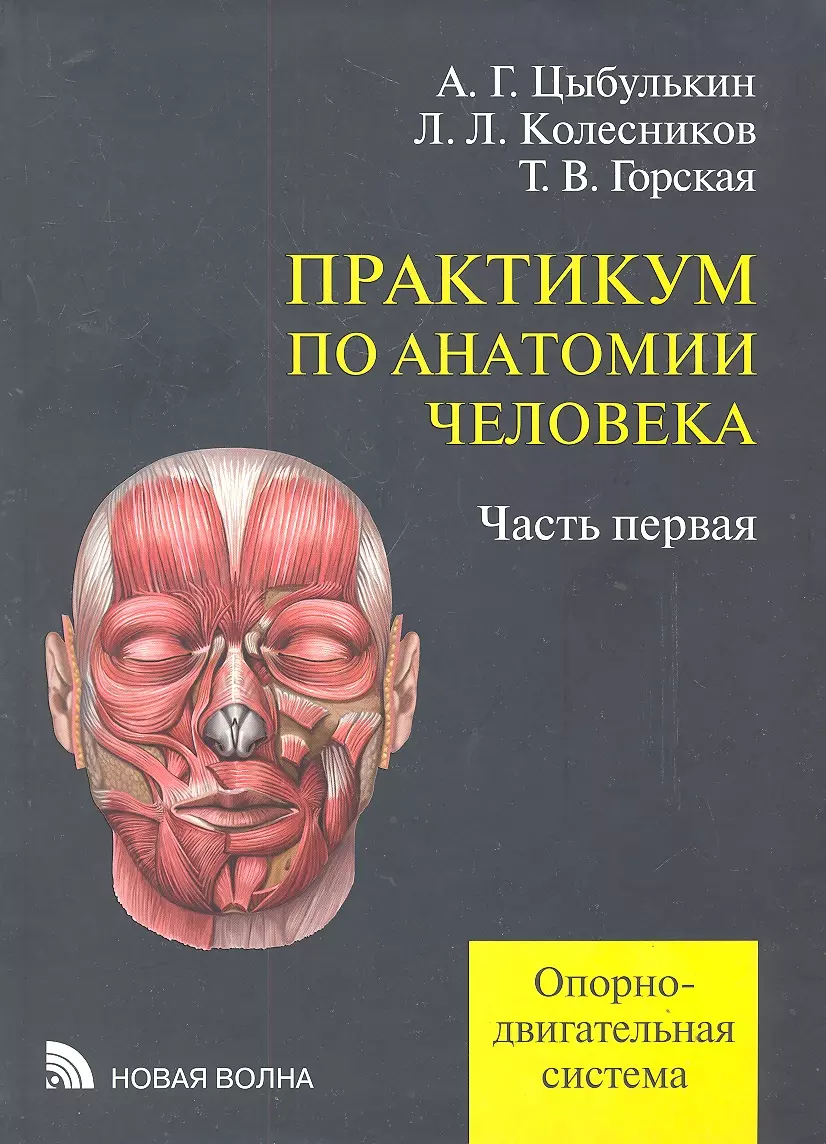 Анатомия практикум. Практикум по анатомии в 4х томах - Цыбулькин а.г.. Анатомия человека Колесников л.л.. Практикум по анатомии человека новая волна. Учебник по анатомии.