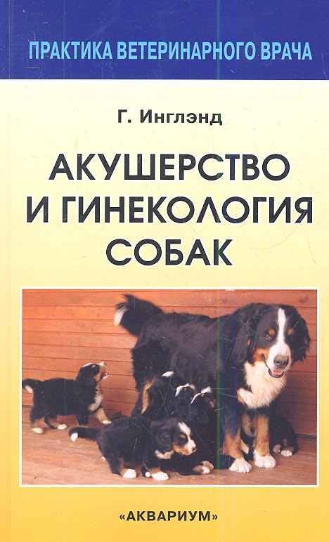 

Акушерство и гинекология собак