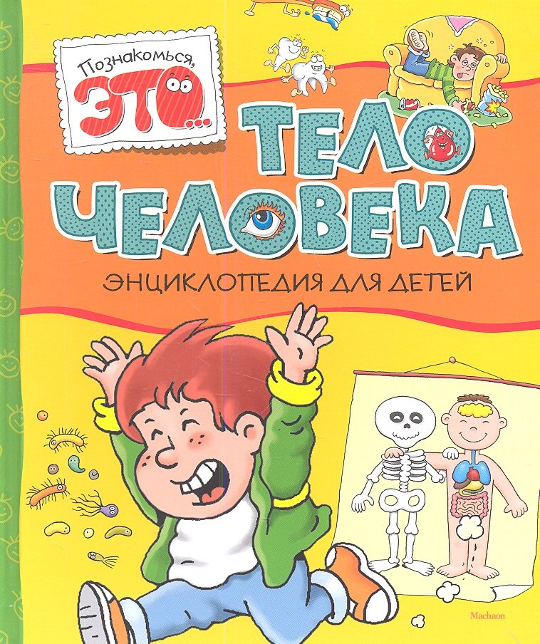 

Тело человека