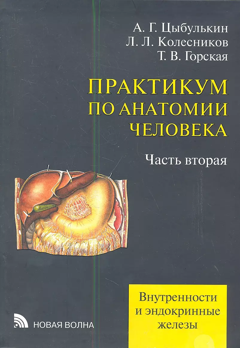 Анатомия практикум. Практикум по анатомии человека Цыбулькин. Анатомия человека Колесников л.л.. Практикум по анатомии человека Цыбулькин купить часть 2. Практикум по анатомии в 4х томах - Цыбулькин а.г..