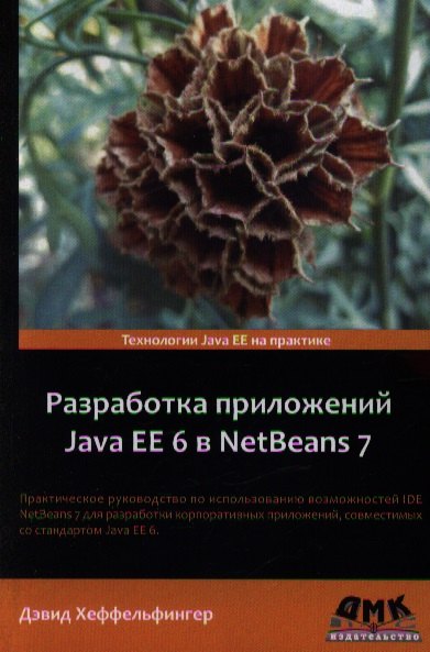 

Разработка приложений Java EE 6 в NetBeans 7