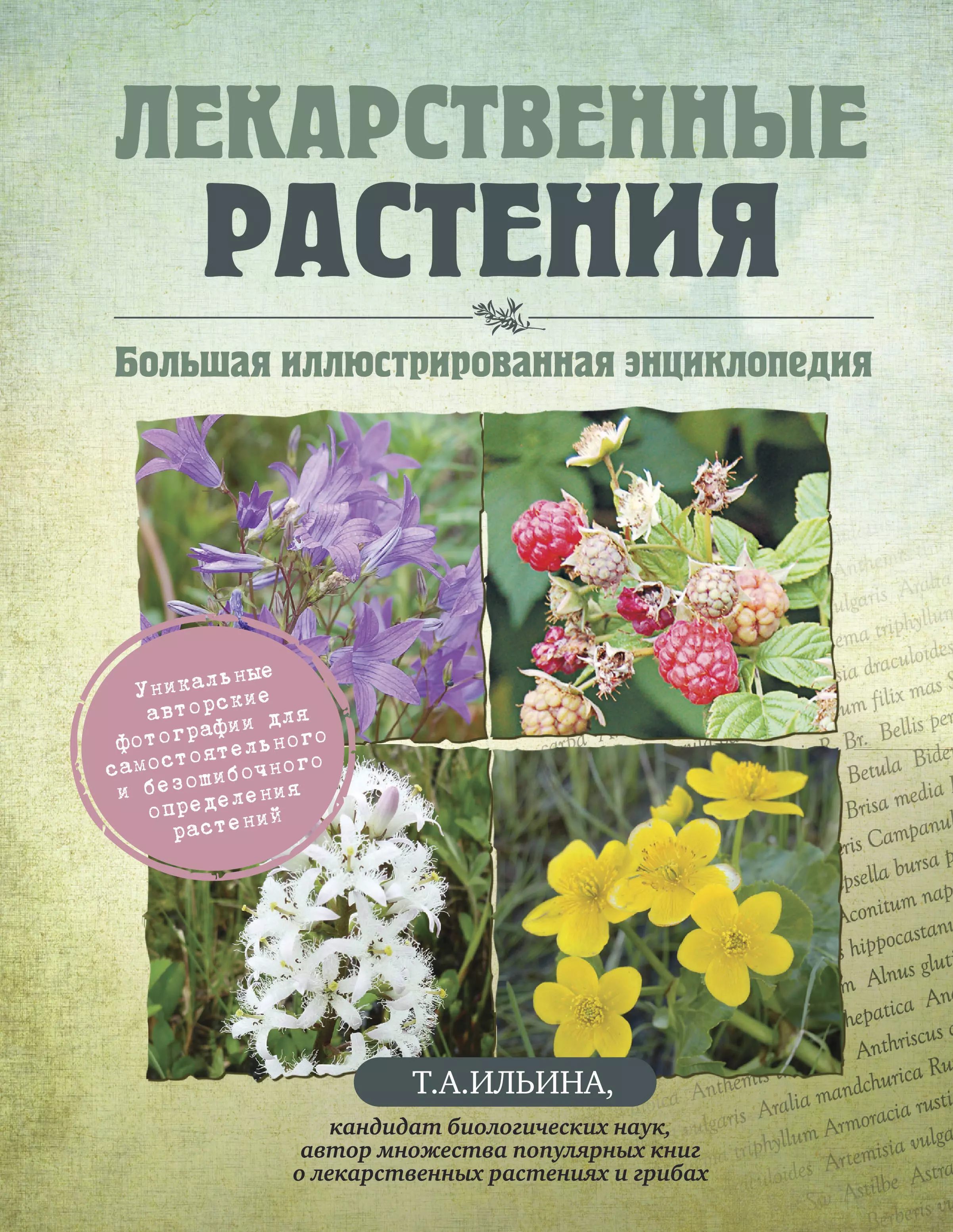 Ильина Татьяна Александровна - Лекарственные растения. Большая иллюстрированная энциклопедия