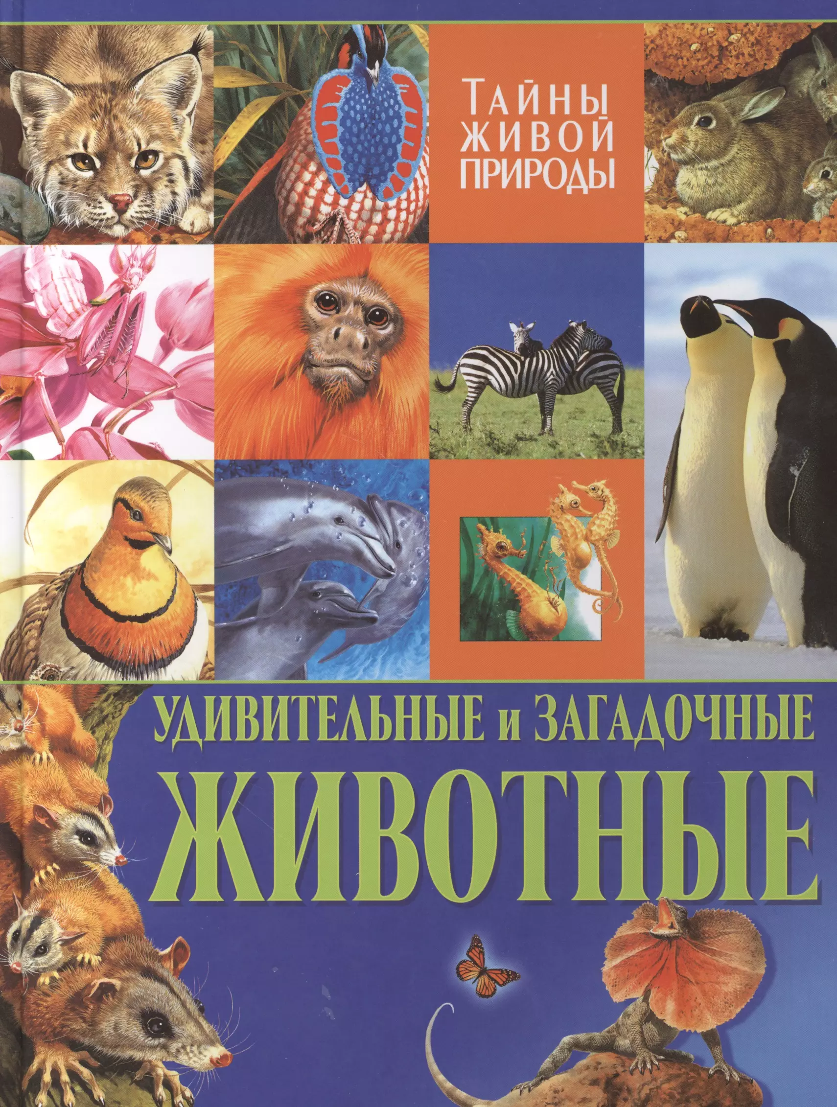 Стоунхаус Бернард - Удивительные и загадочные животные. Тайны живой природы