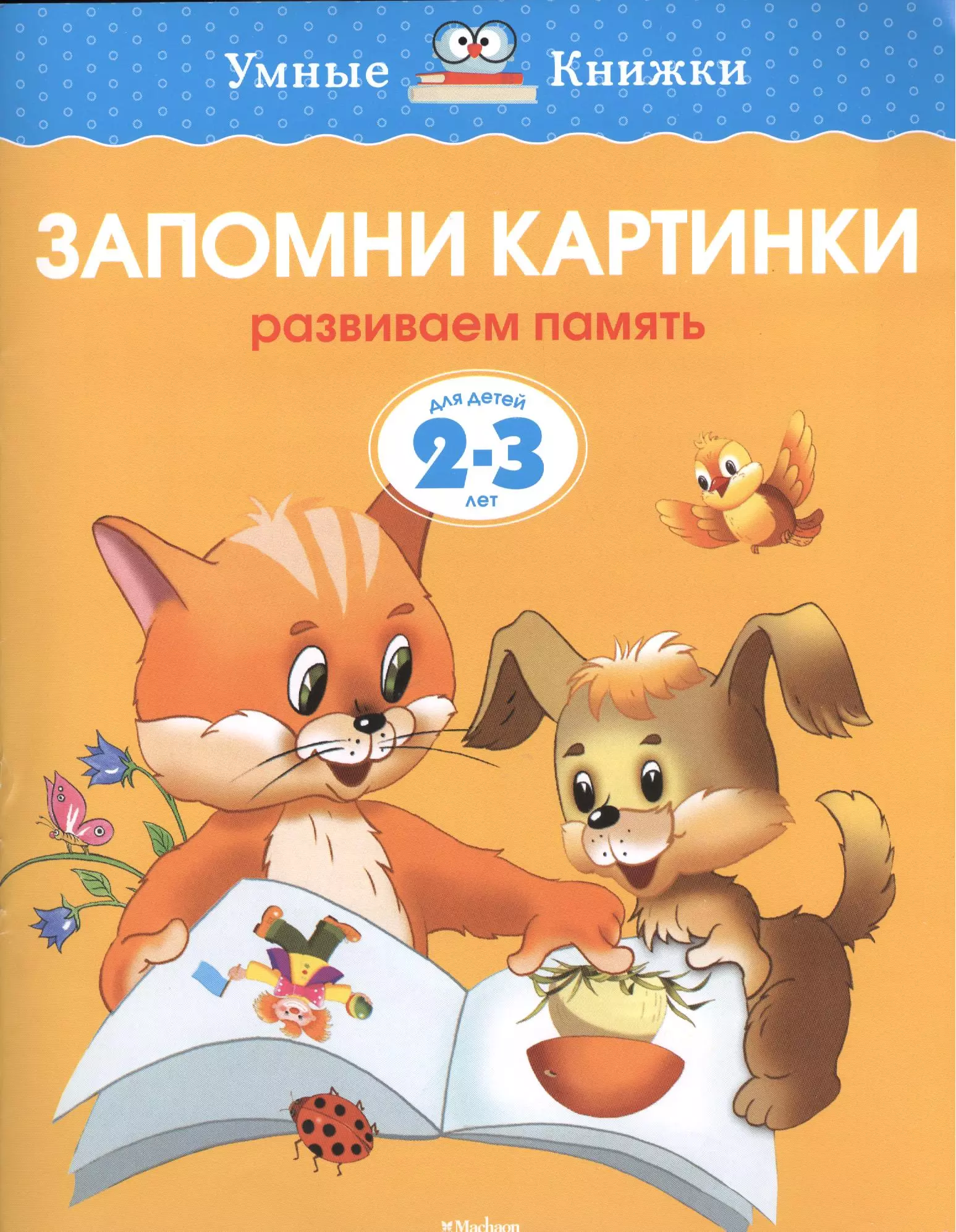 Книга запомни картинки