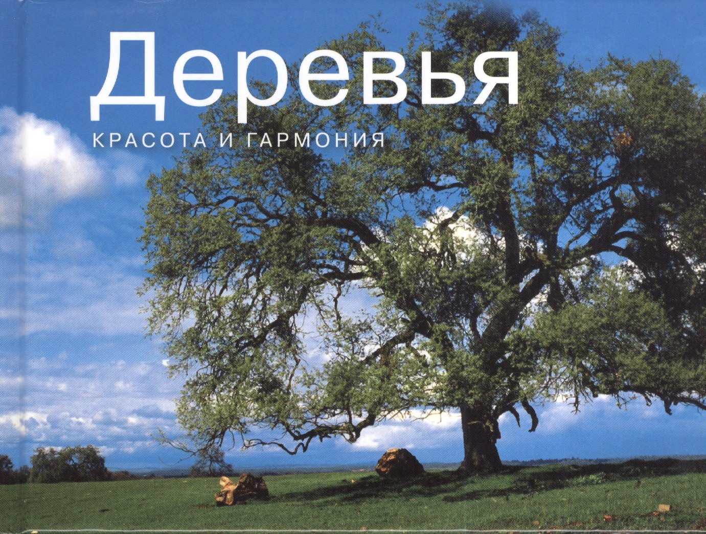 

Деревья. Красота и гармония