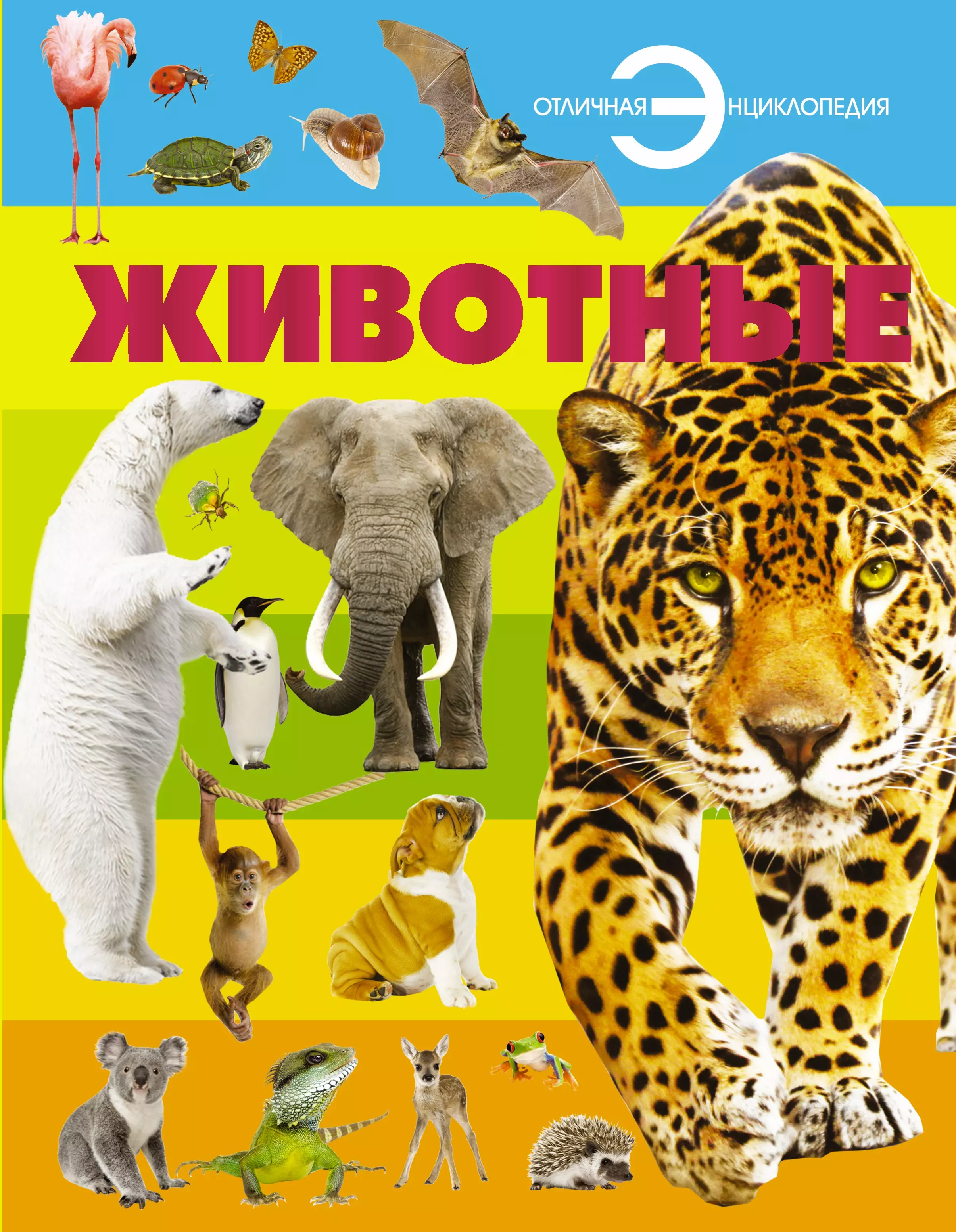 Книги о животных картинки