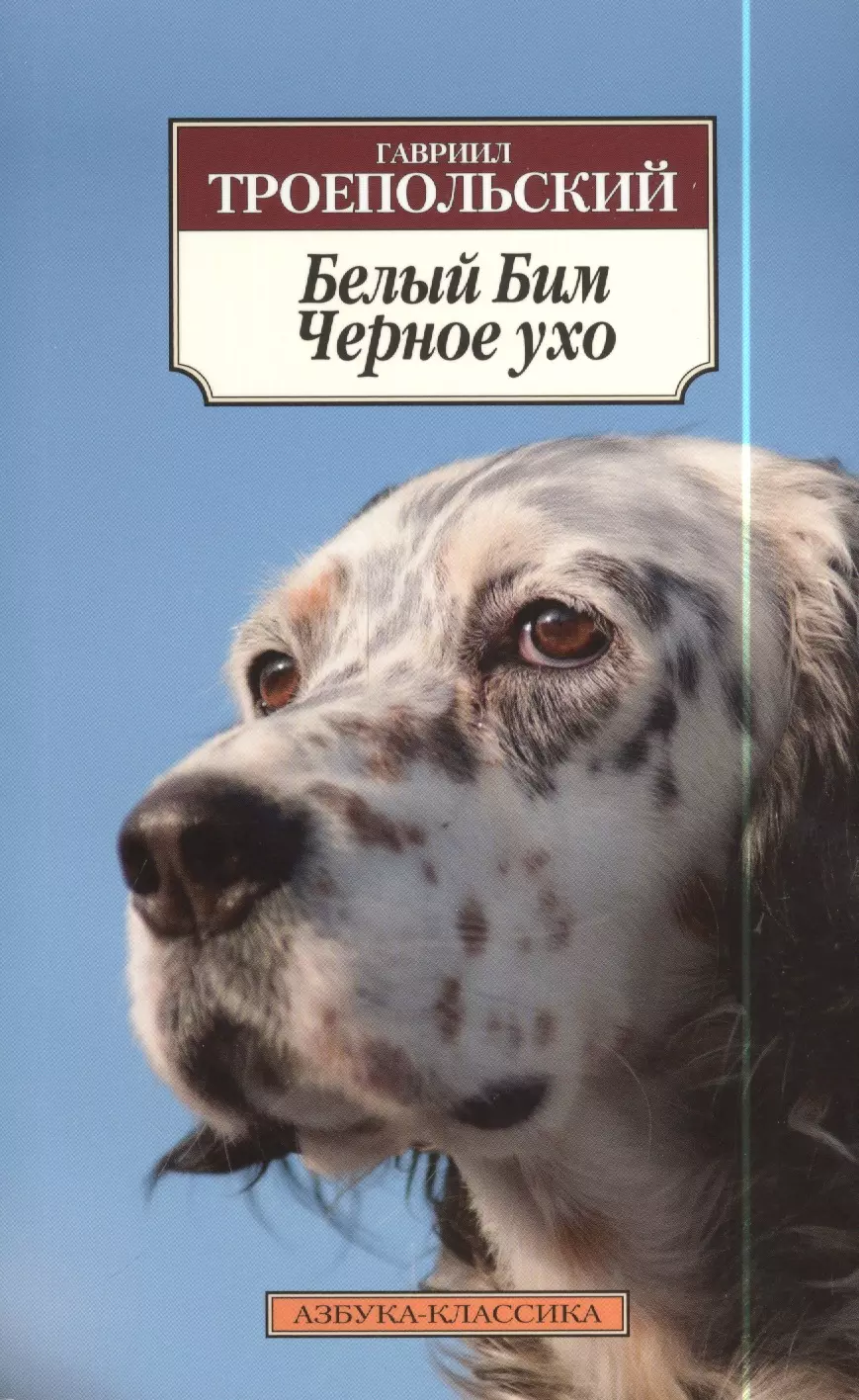 Белое черное ухо. Белый Бим чёрное ухо Гавриил Троепольский книга. Троепольский белый Бим. Троепольский белый Бим книга. Книга белыйбимчёрноеухо.