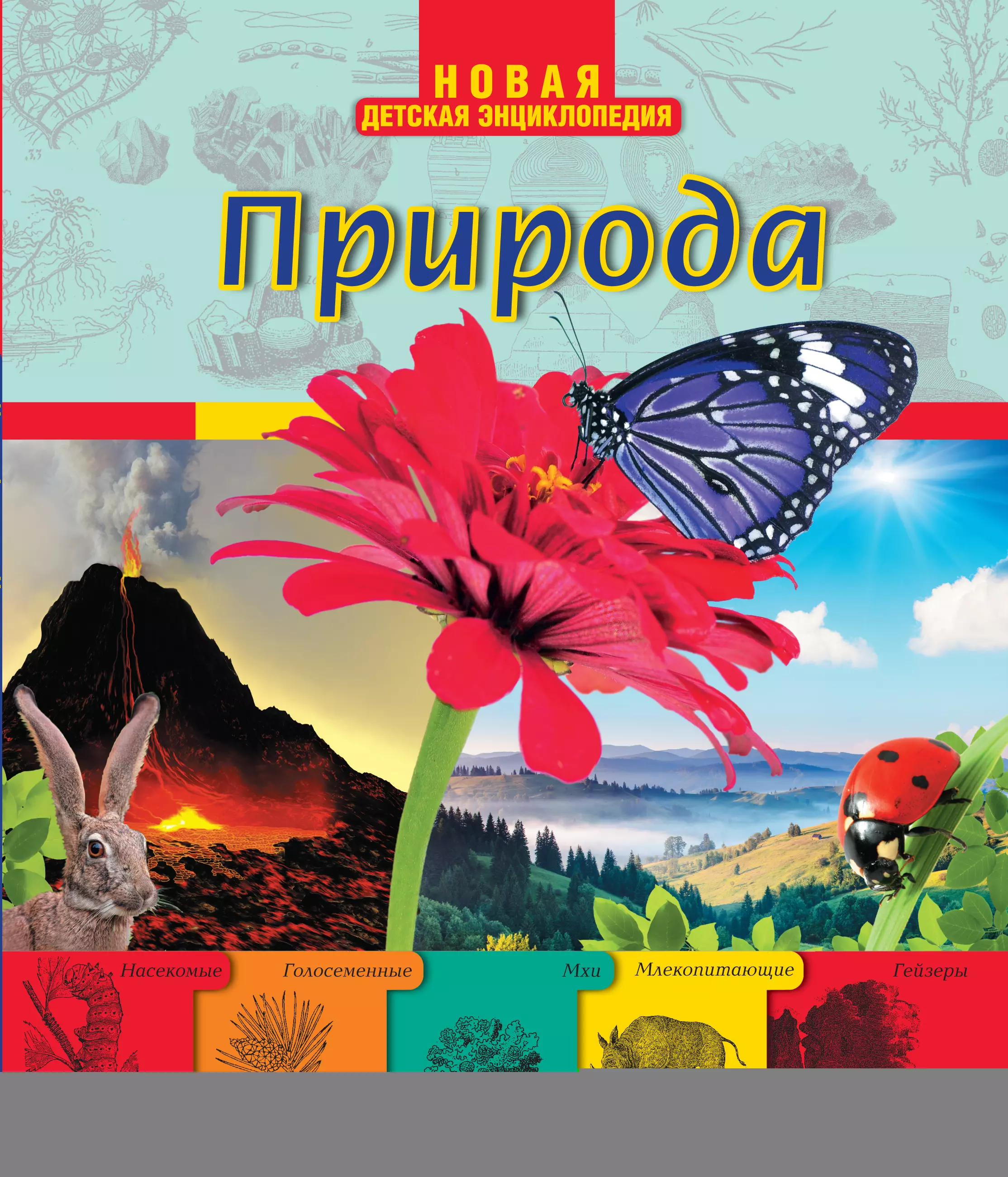 Природная книга. Энциклопедии о природе для детей. Природа. Энциклопедия. Книга природа. Детская энциклопедия природа.