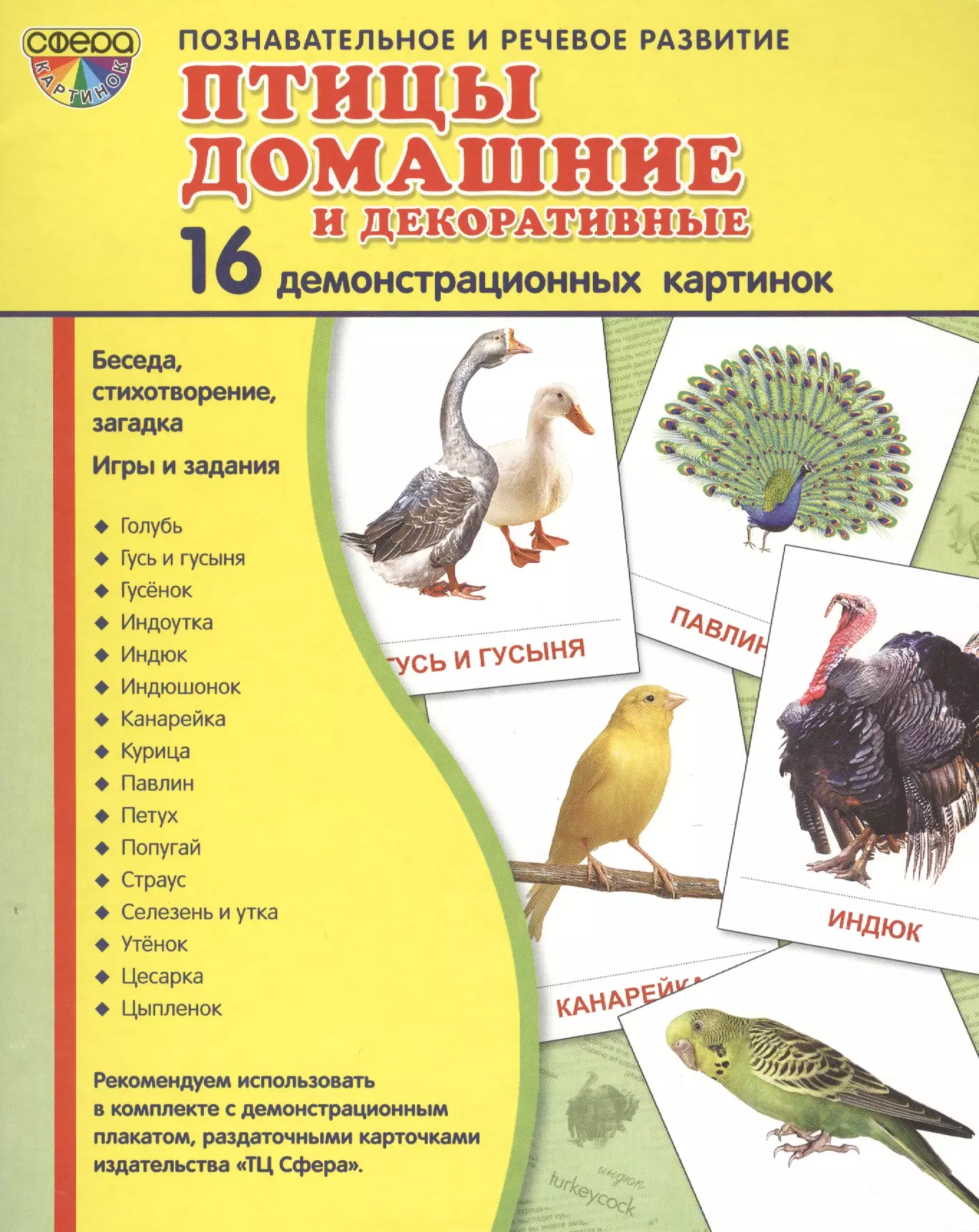 Домашние птицы список. Домашние птицы. Птицы наглядное пособие. Демонстрационный материал домашние птицы. Плакат. Домашние птицы..