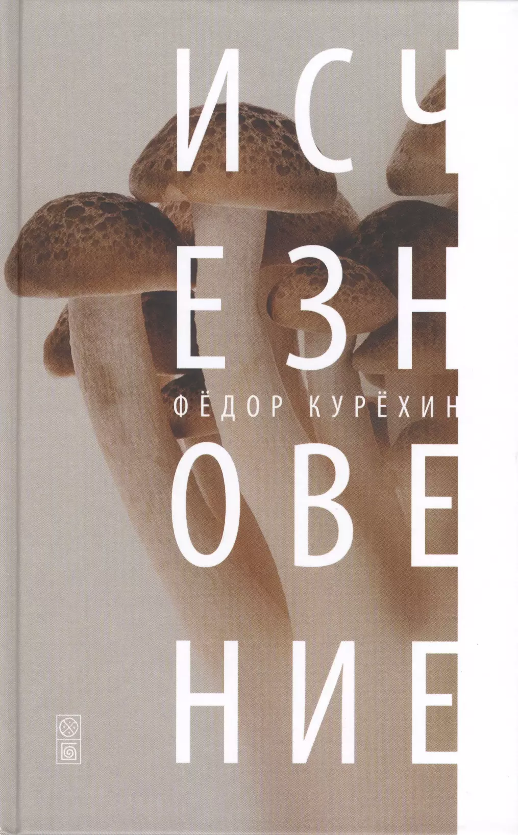 Исчезновение книга. Курехин Федор 