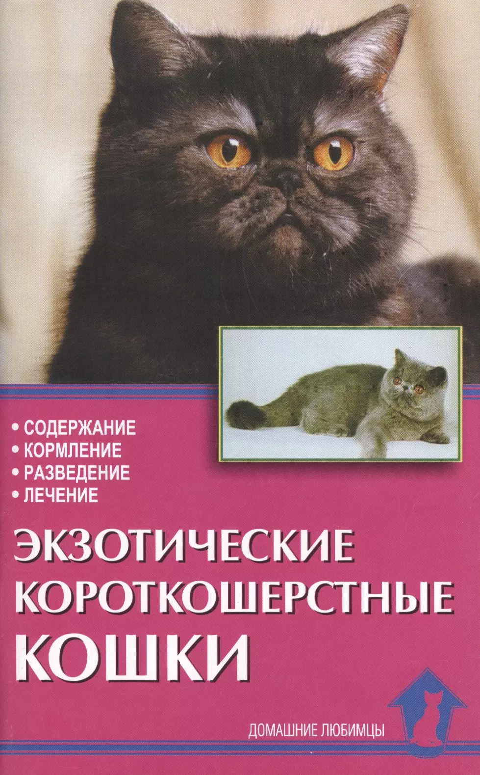 Содержание кошки. Экзотическая короткошерстная кошка. Экзотическая короткошерстная кошка черная. Книги про экзотов кошек. Содержание кошек.