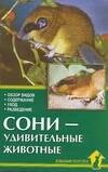 

Аквар.Сони-удивительные животные