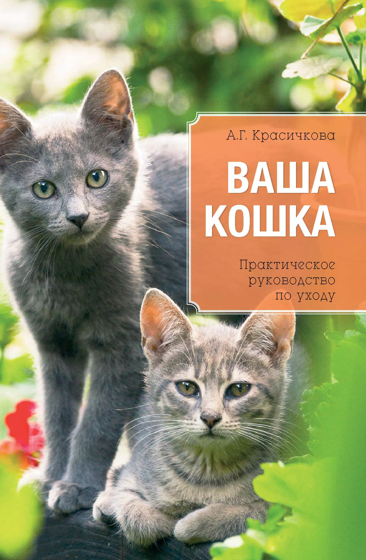 Автора кошки. Книги про кошек. Книга ваша кошка. Книги о домашних животных. Энциклопедия ваша кошка.