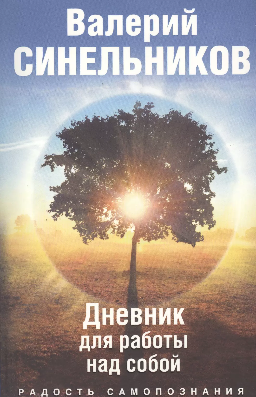 Синельников Валерий Владимирович - Радость самопознания. Дневник работы над собой