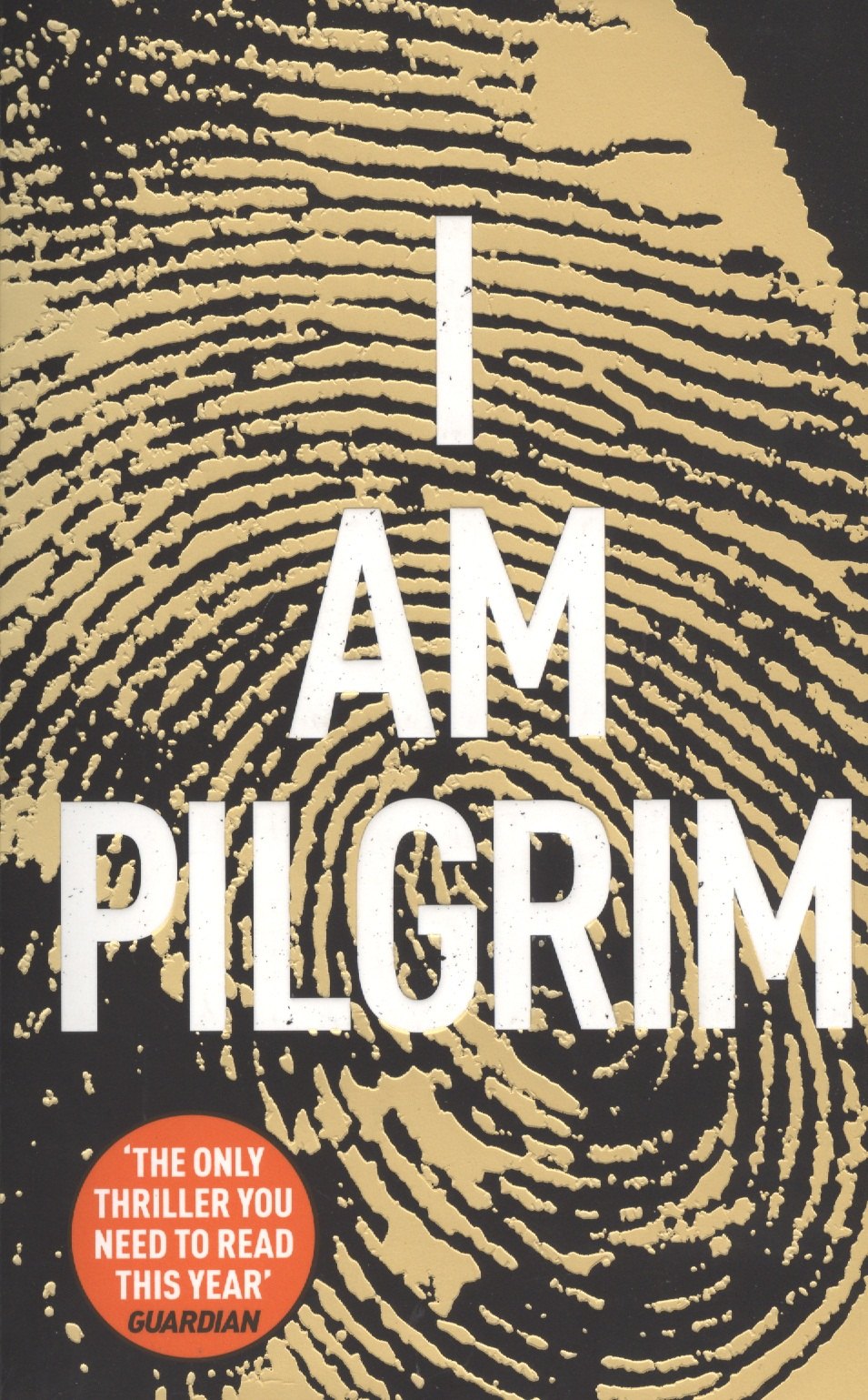 

I Am Pilgrim