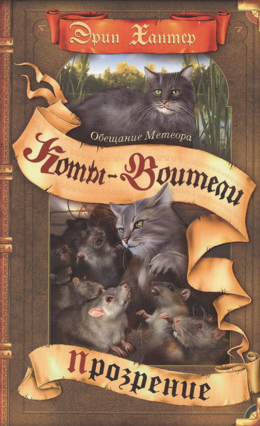 

Обещание Метеора. Прозрение