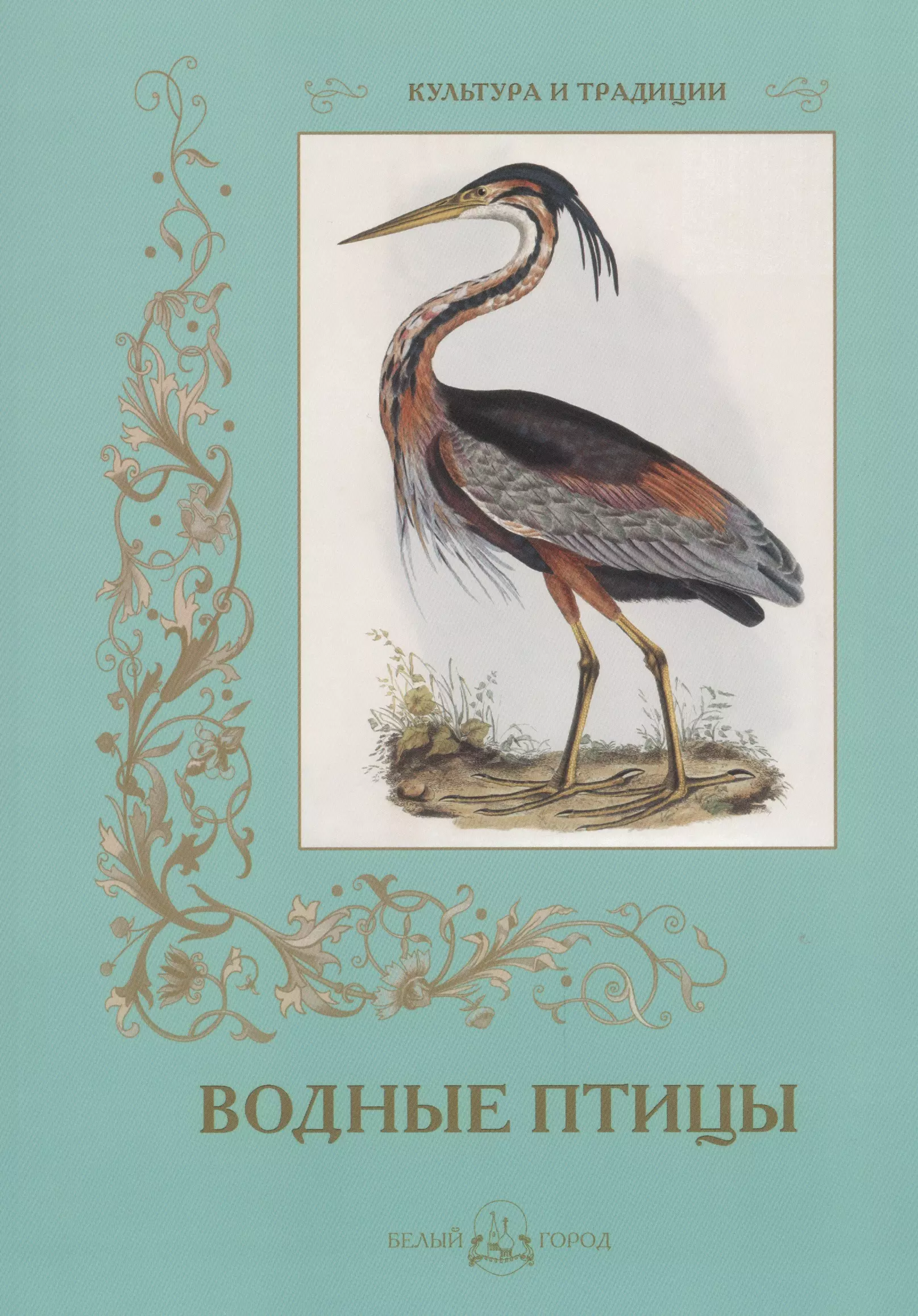 Белый город птицы. Иванов с. "водные птицы". Издательство белая птица книги обложки. Водные птицы России книга. Книги птицы средней Азии картинки.