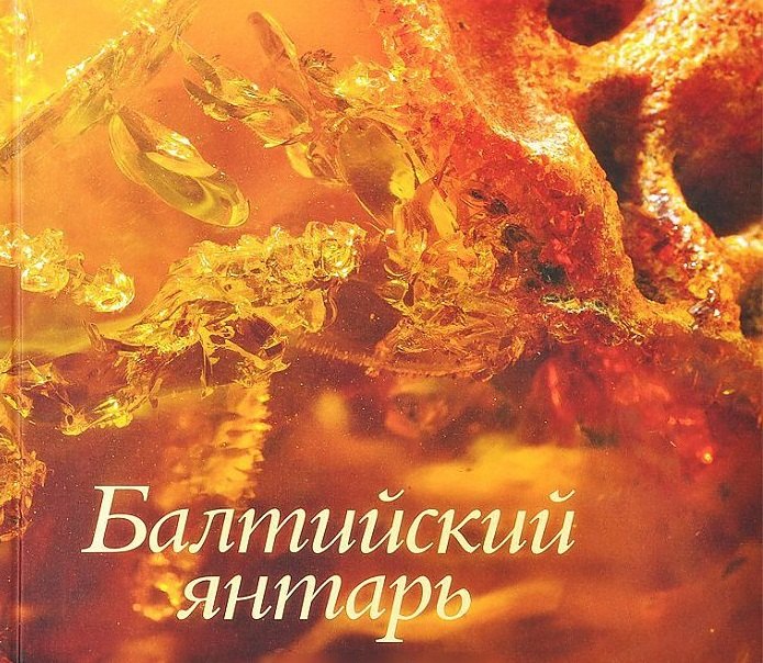

Балтийский янтарь из собрания Калининградского музея янтаря