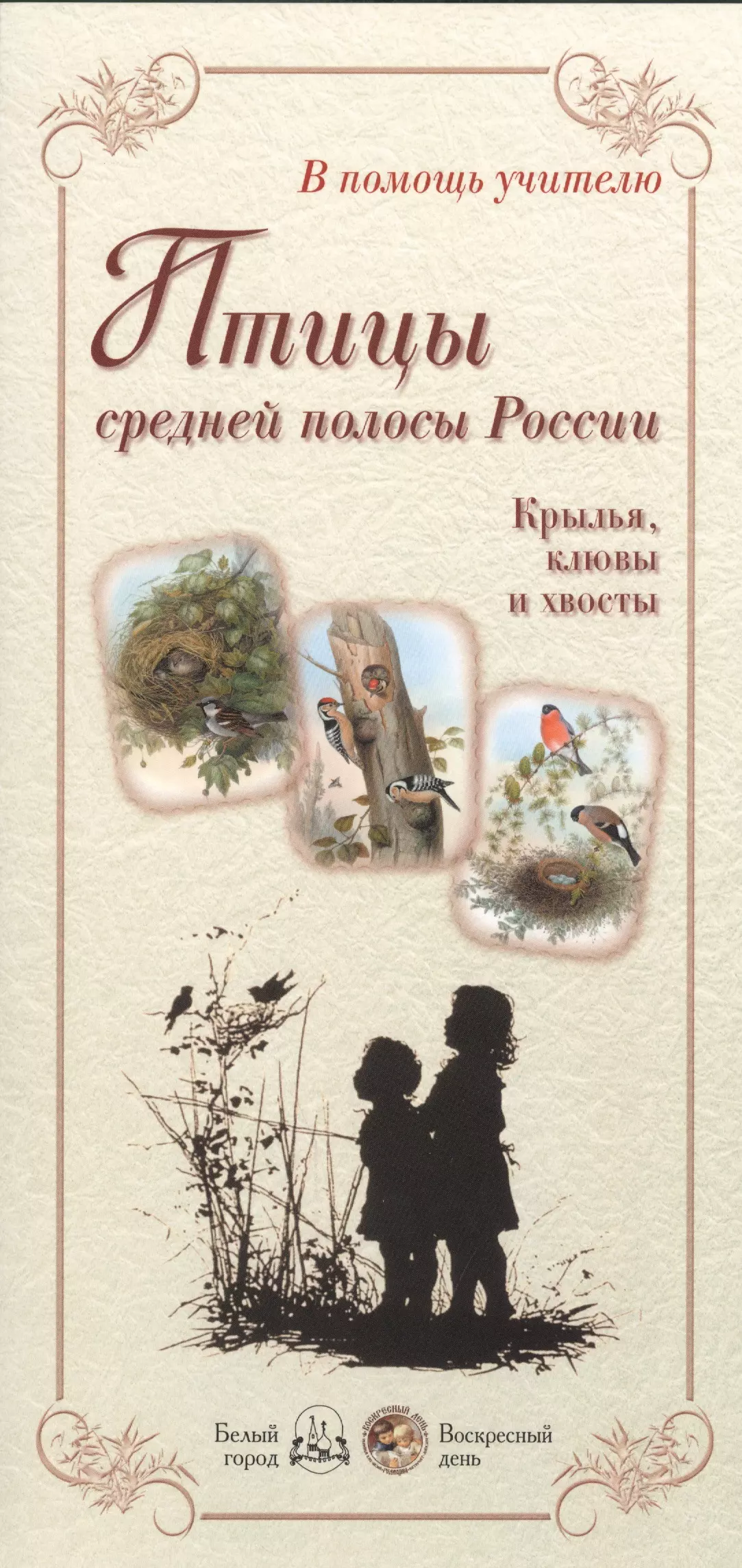  - Птицы средней полосы России. Крылья, клювы и хвосты