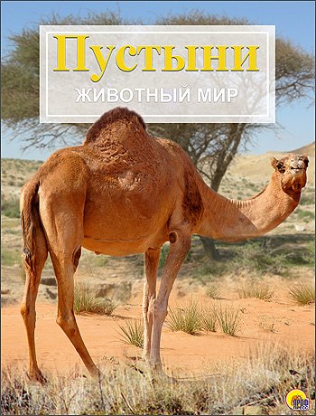 

Пустыни и кустарниковые местности. Животный мир