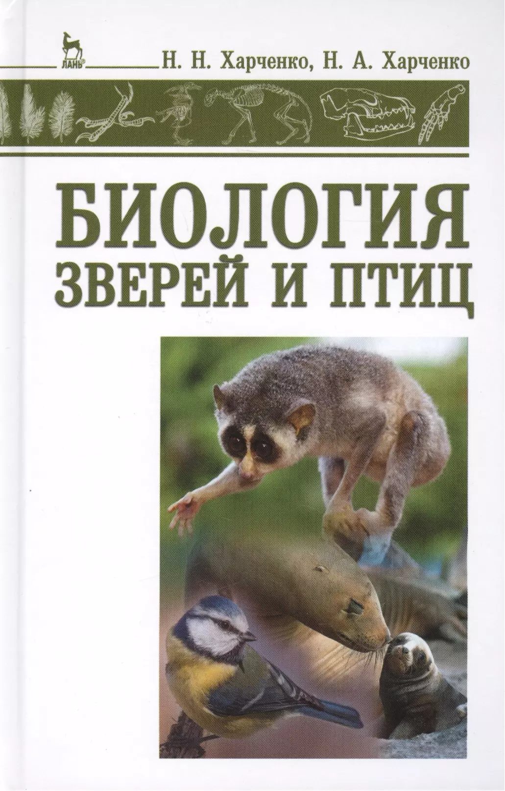 Учебник биологии животные. Биология зверей и птиц Харченко. Биология зверей и птиц Харченко книга. Биология лесных зверей и птиц Харченко. Книга по биологии про животных.