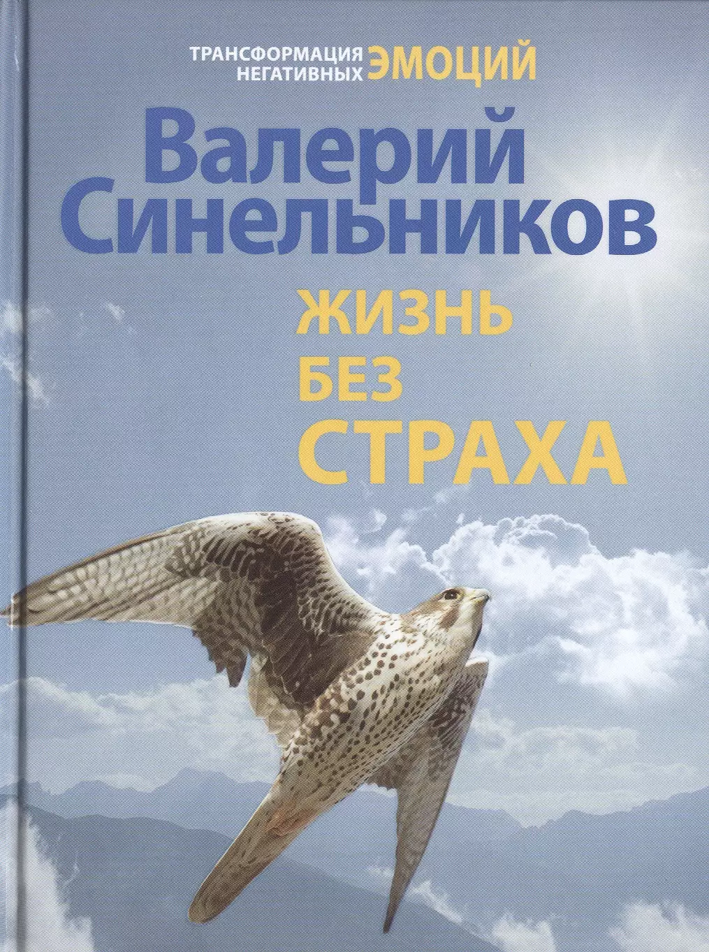 Синельников Валерий Владимирович - Жизнь без страха