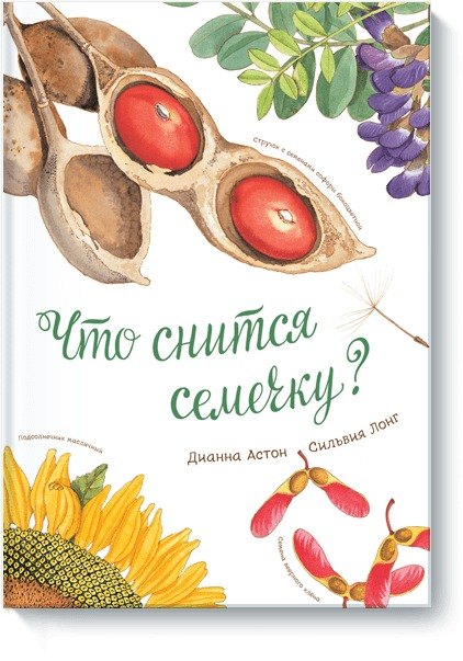 

Что снится семечку