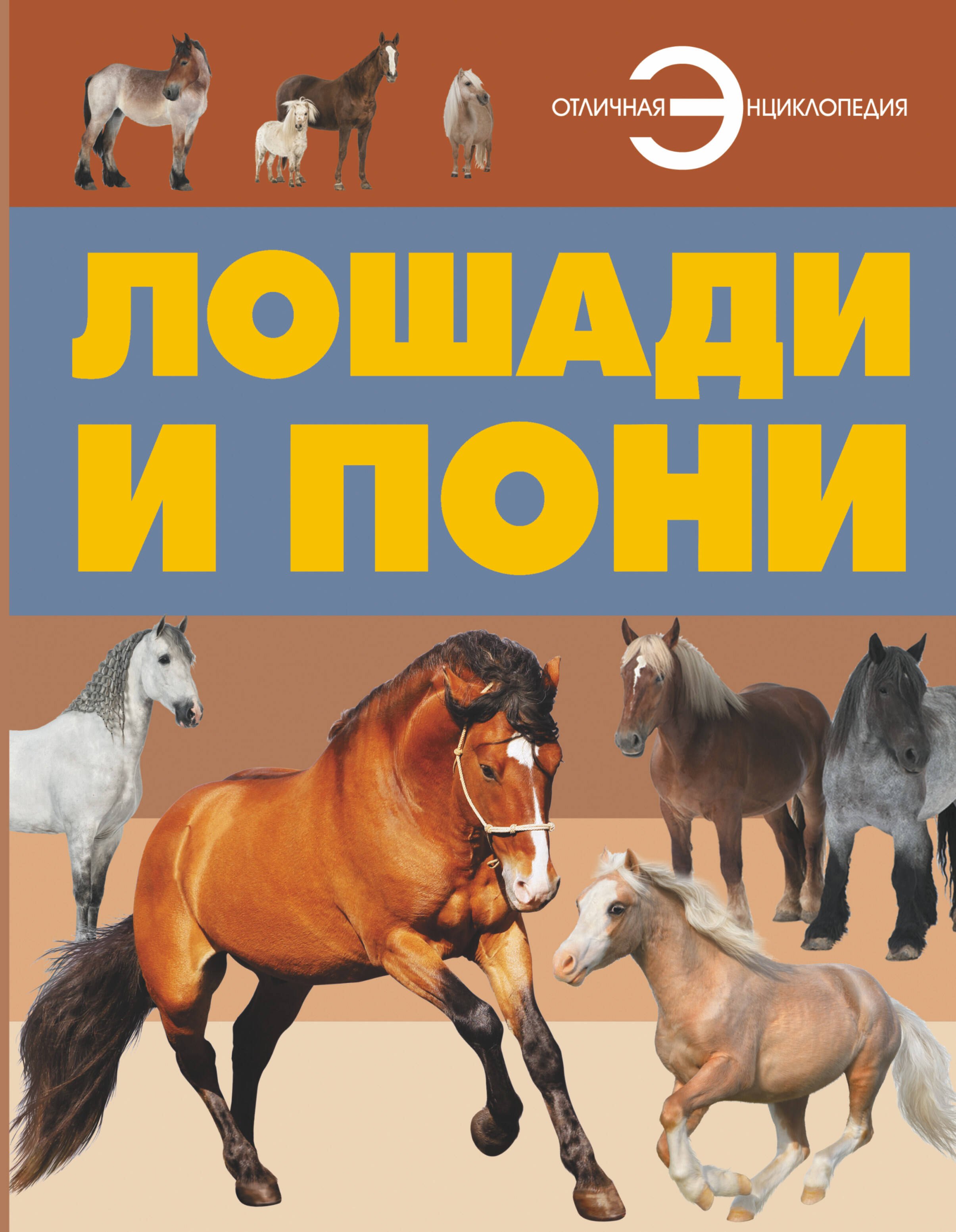 

Лошади и пони