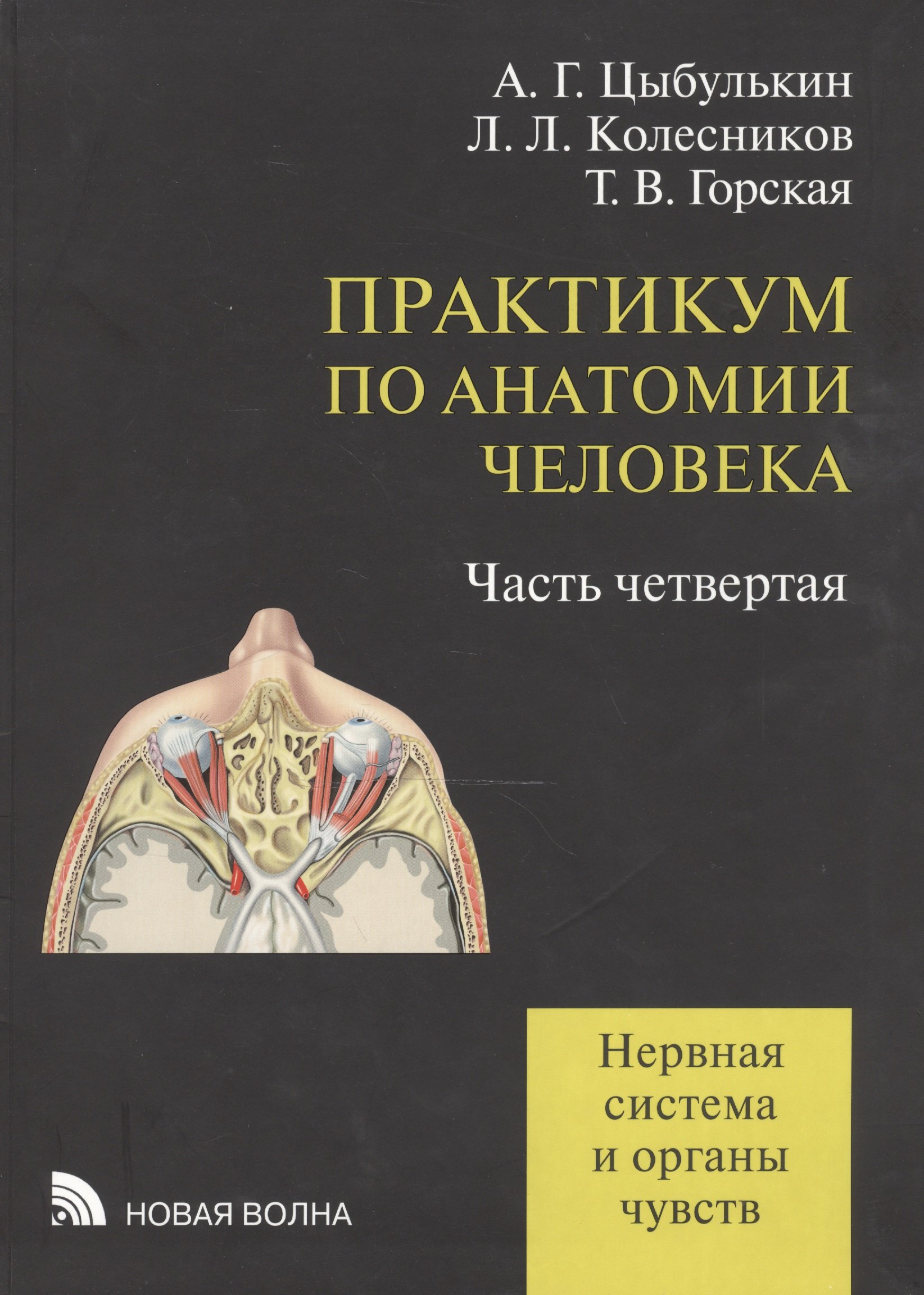 

Практикум по анатомии человека: учебное пособие. В четырех частях. Часть четвертая. Нервная система и органы чувств