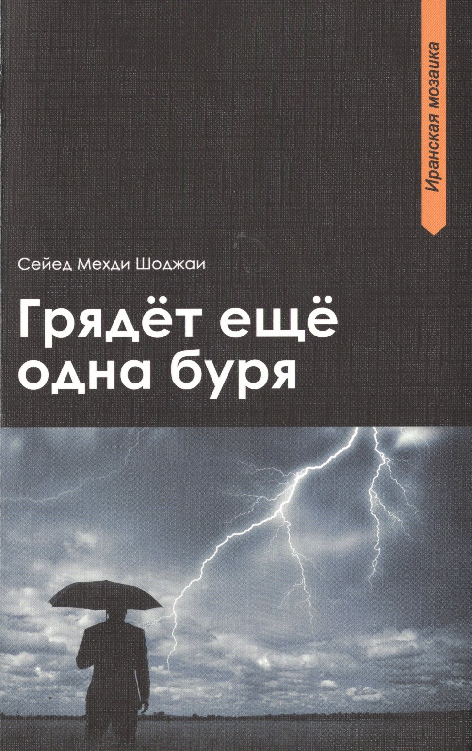 

Грядет еще одна буря