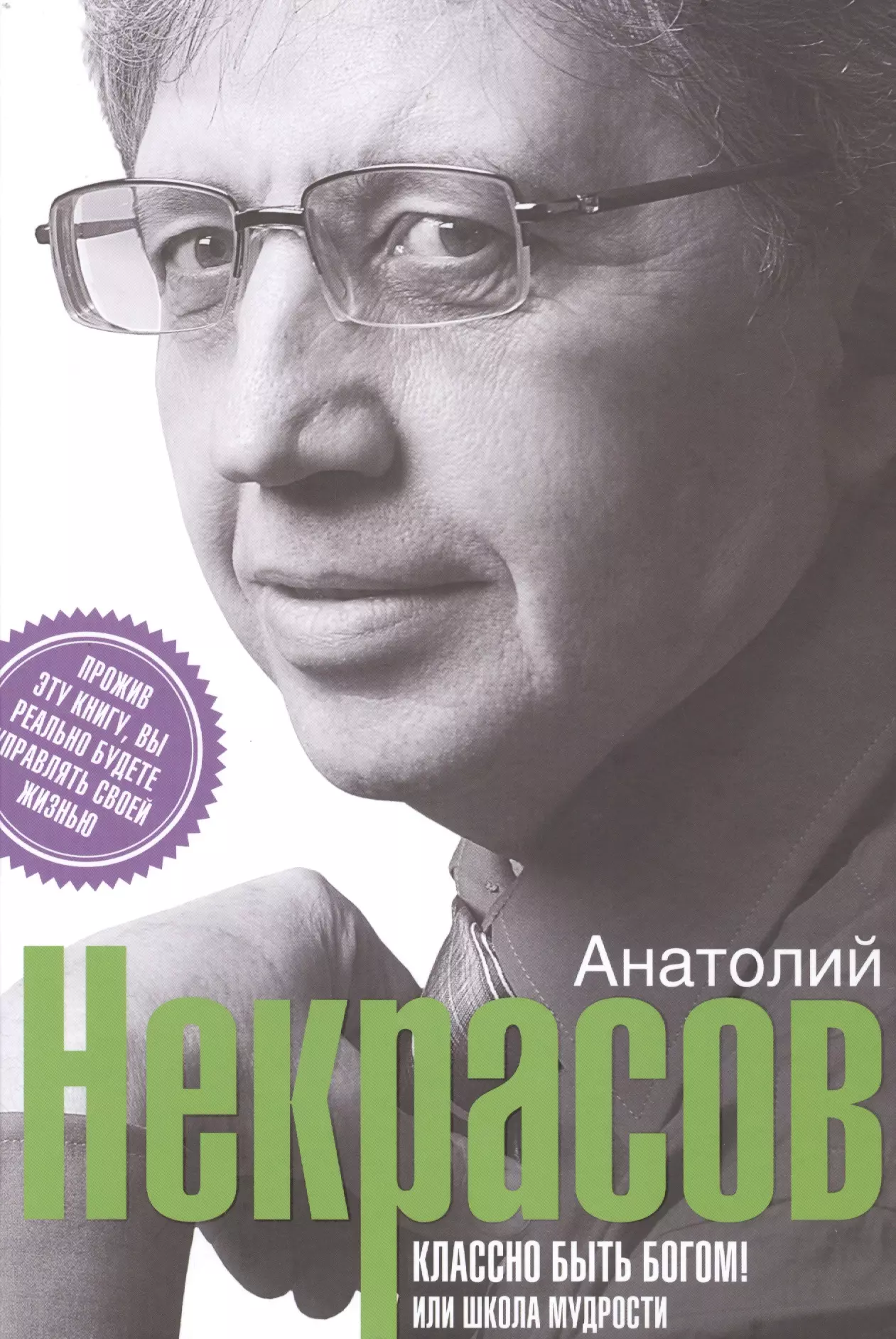 Некрасов Анатолий Александрович - Классно быть богом, или Школа Мудрости