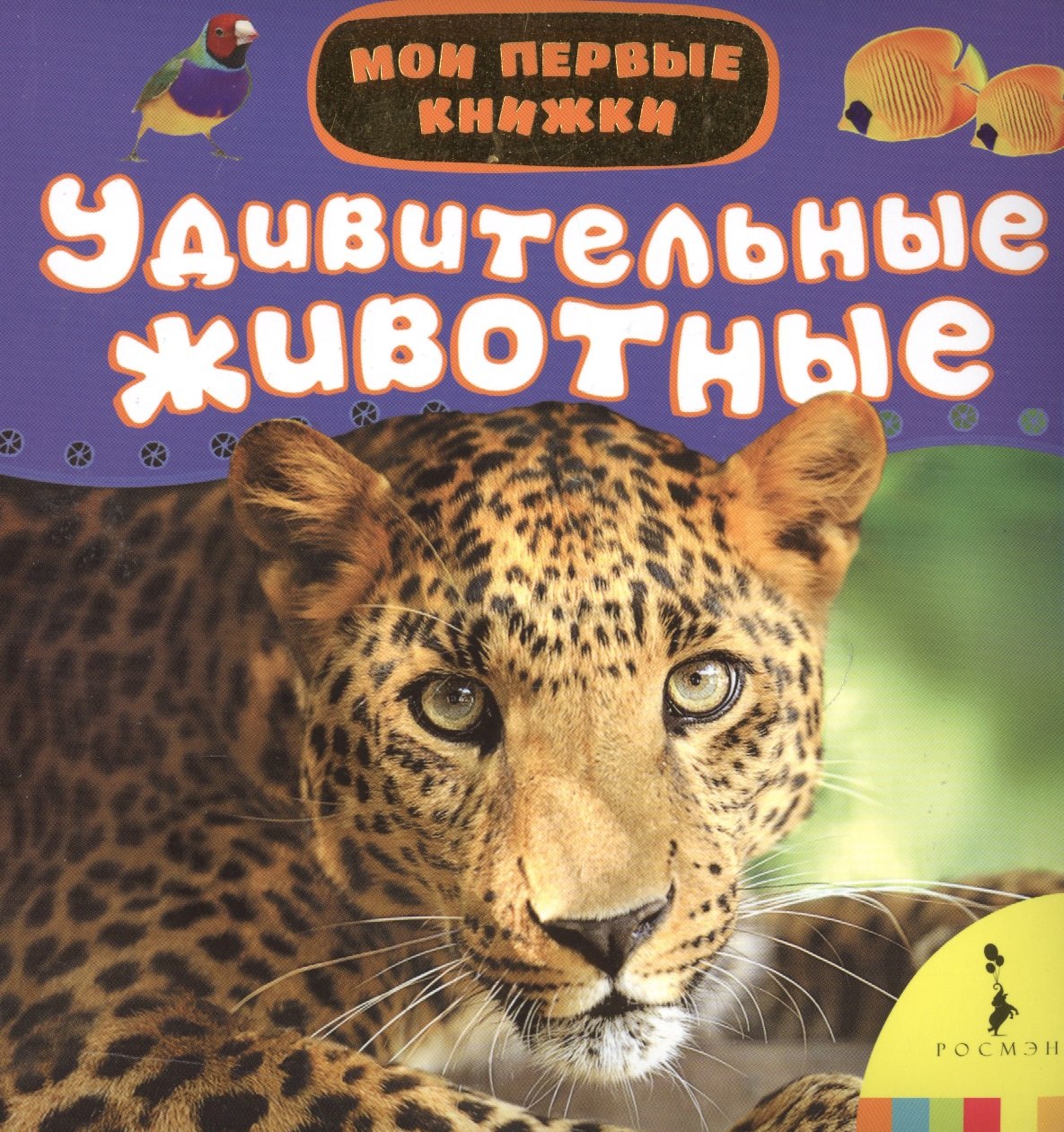 

Удивительные животные