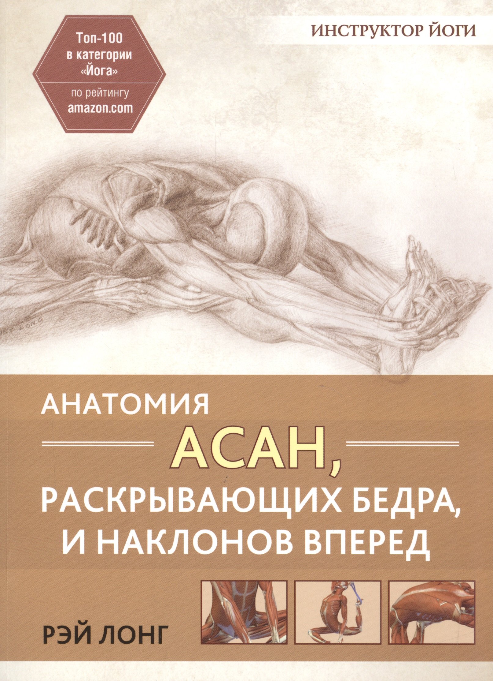 

Анатомия асан, раскрывающих бедра, и наклонов вперед