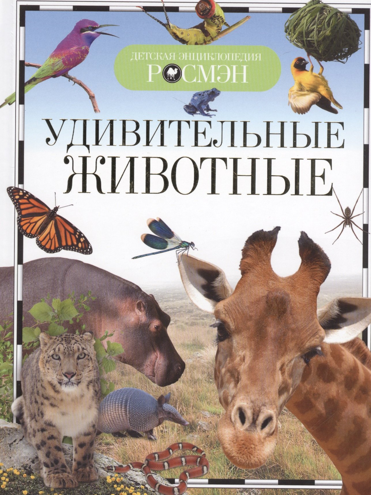 

Удивительные животные