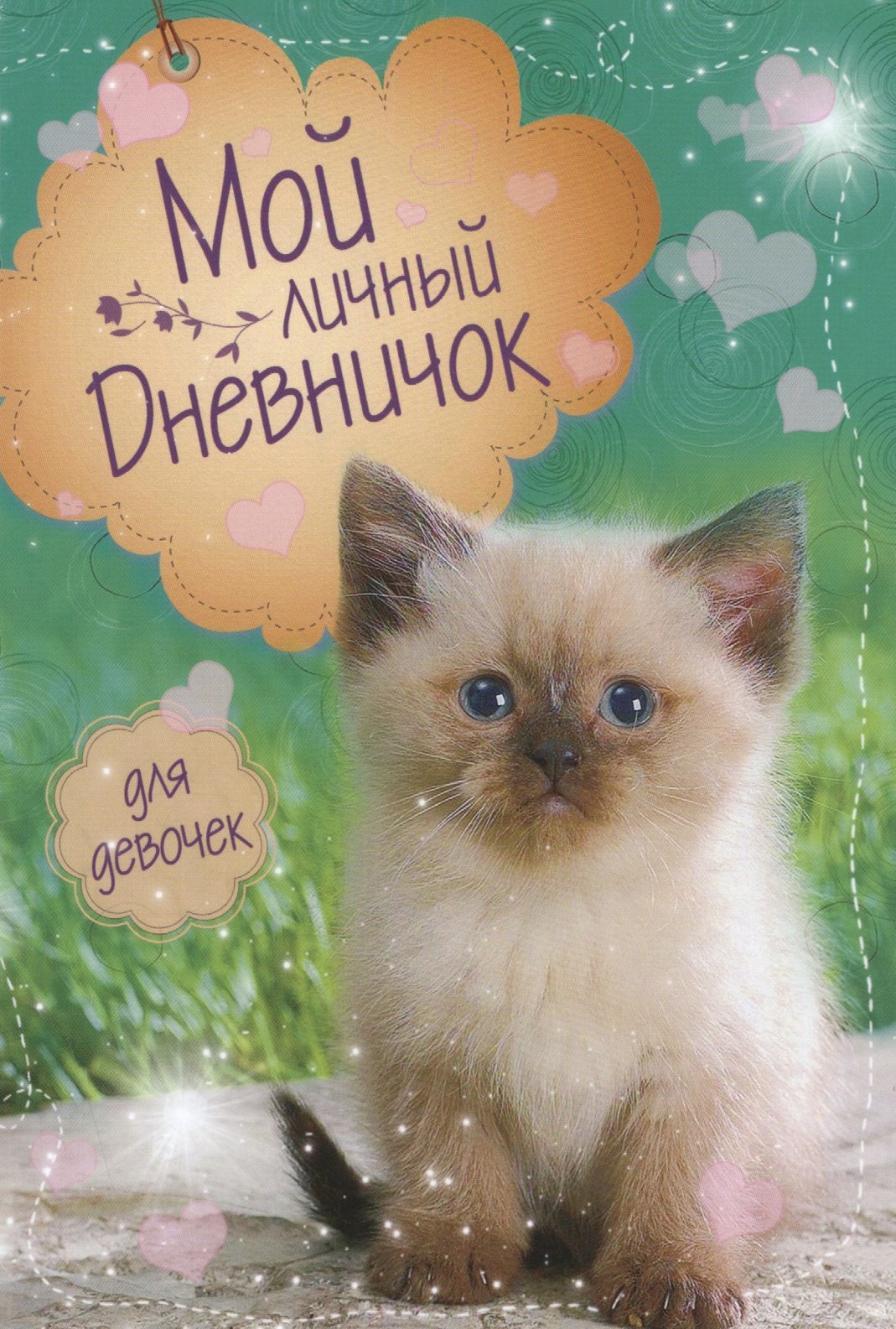 

Котик на зеленой обложке Дневничок