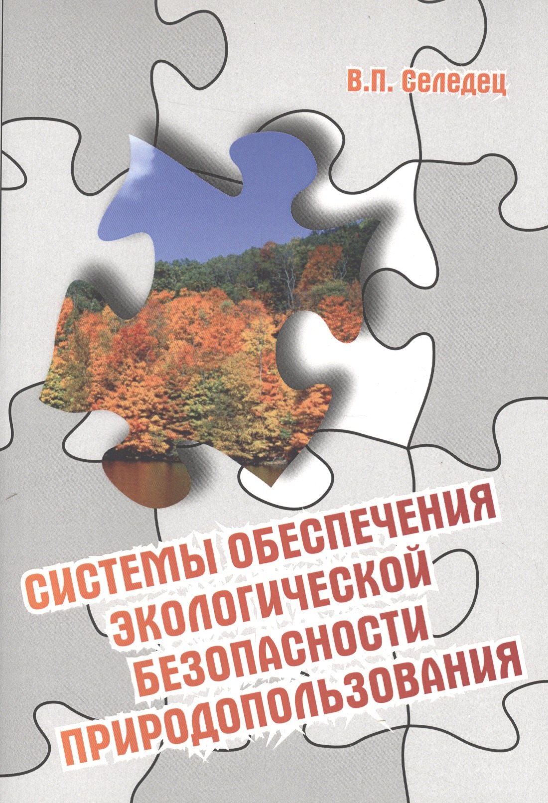 

Системы обеспечения экологической безопасности природопользования