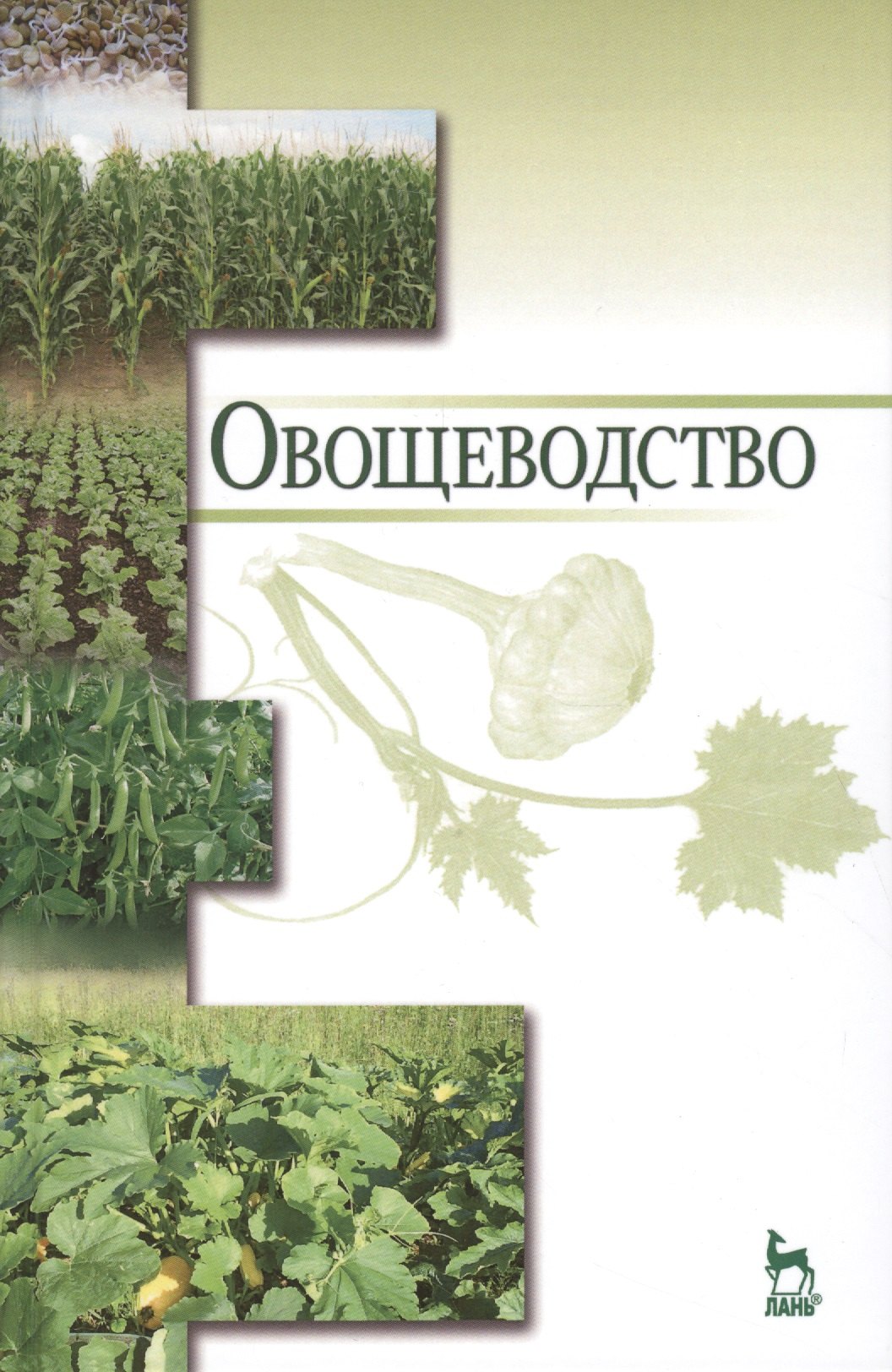 

Овощеводство: Уч.пособие
