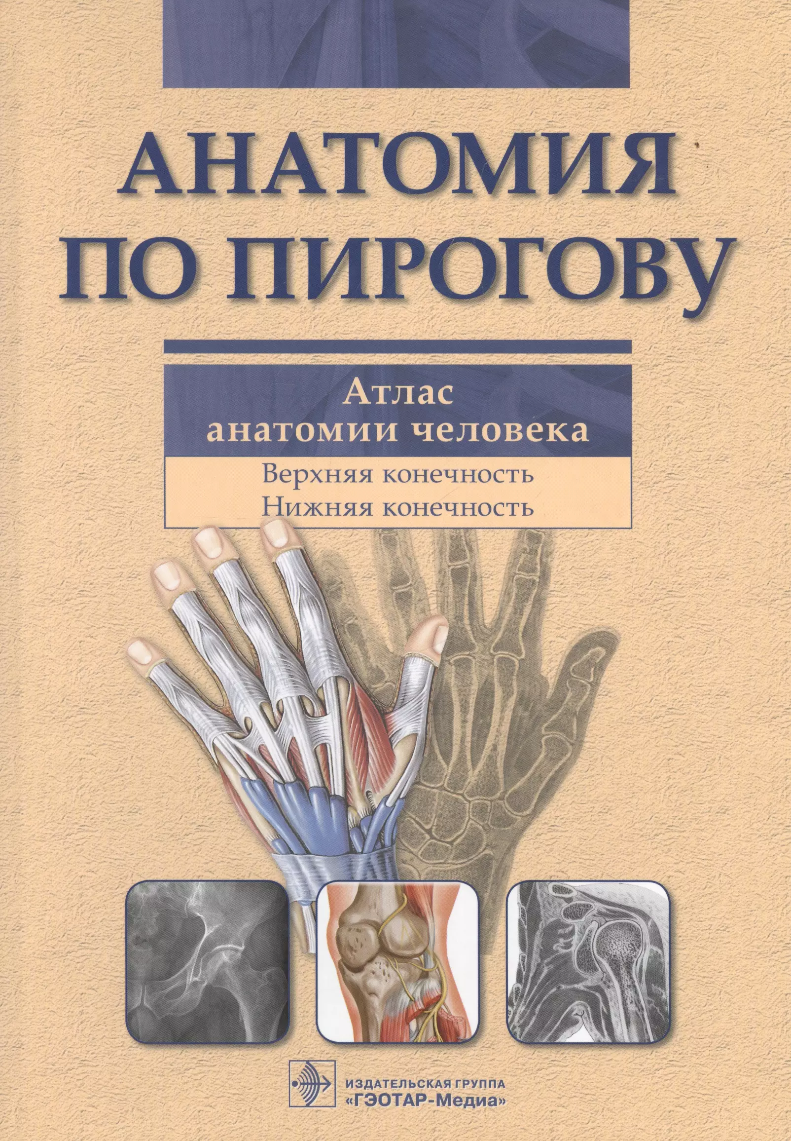 Анатомия атлас том 1. Анатомия по Пирогову атлас анатомии человека в 3-х томах. Шилкин анатомия по Пирогову. Атлас топографической анатомии человека Пирогова. Первый атлас топографической анатомии Пирогова.