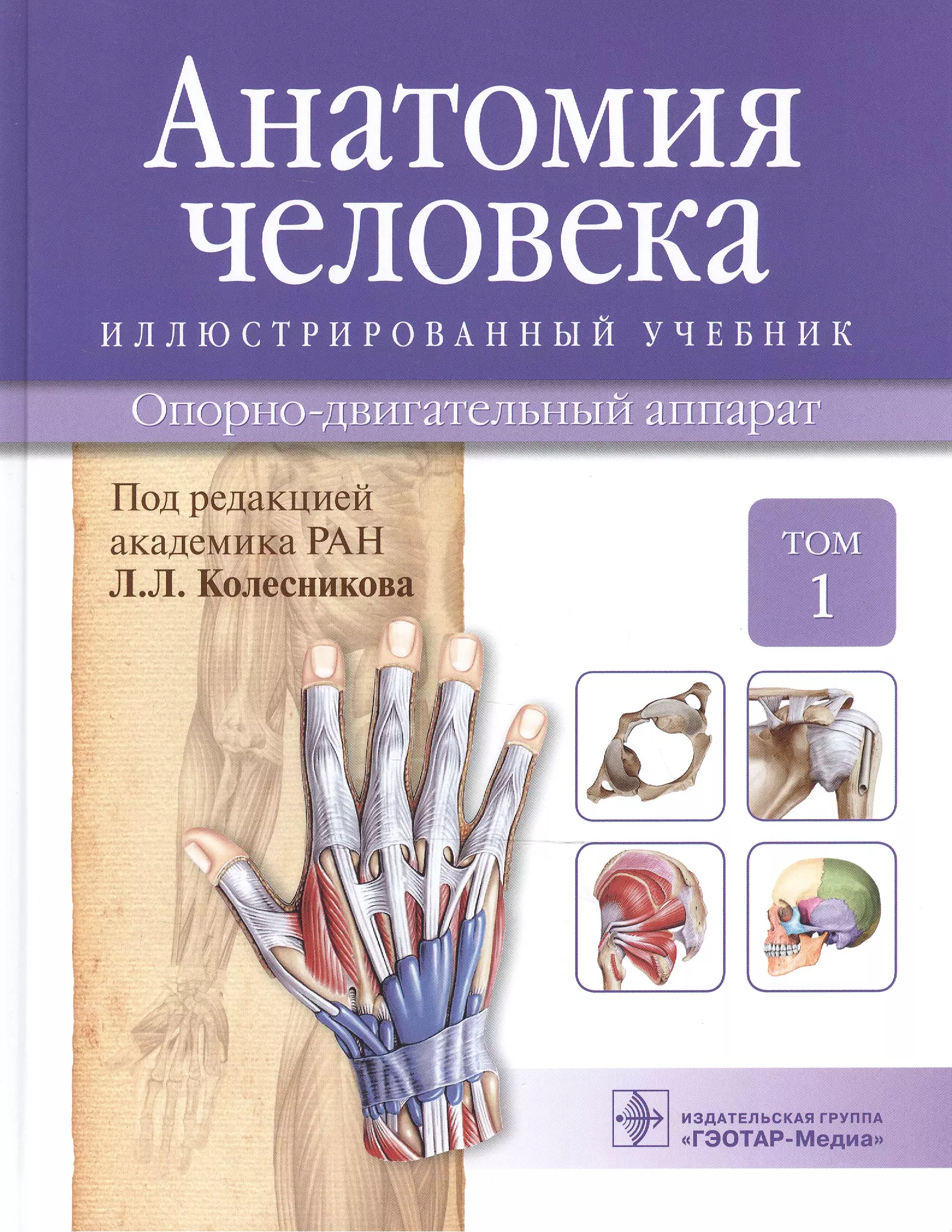 Колесников Лев Львович - Анатомия человека.Т.1-Опорно-двигательный аппарат.Учебник в 3 томах