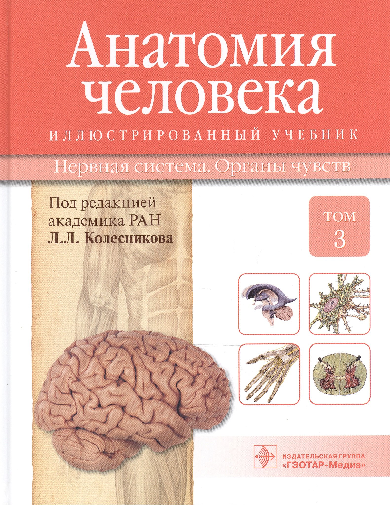 

Анатомия человека.Т.3-Нервная система.Органы чувств.Учебник в 3 томах
