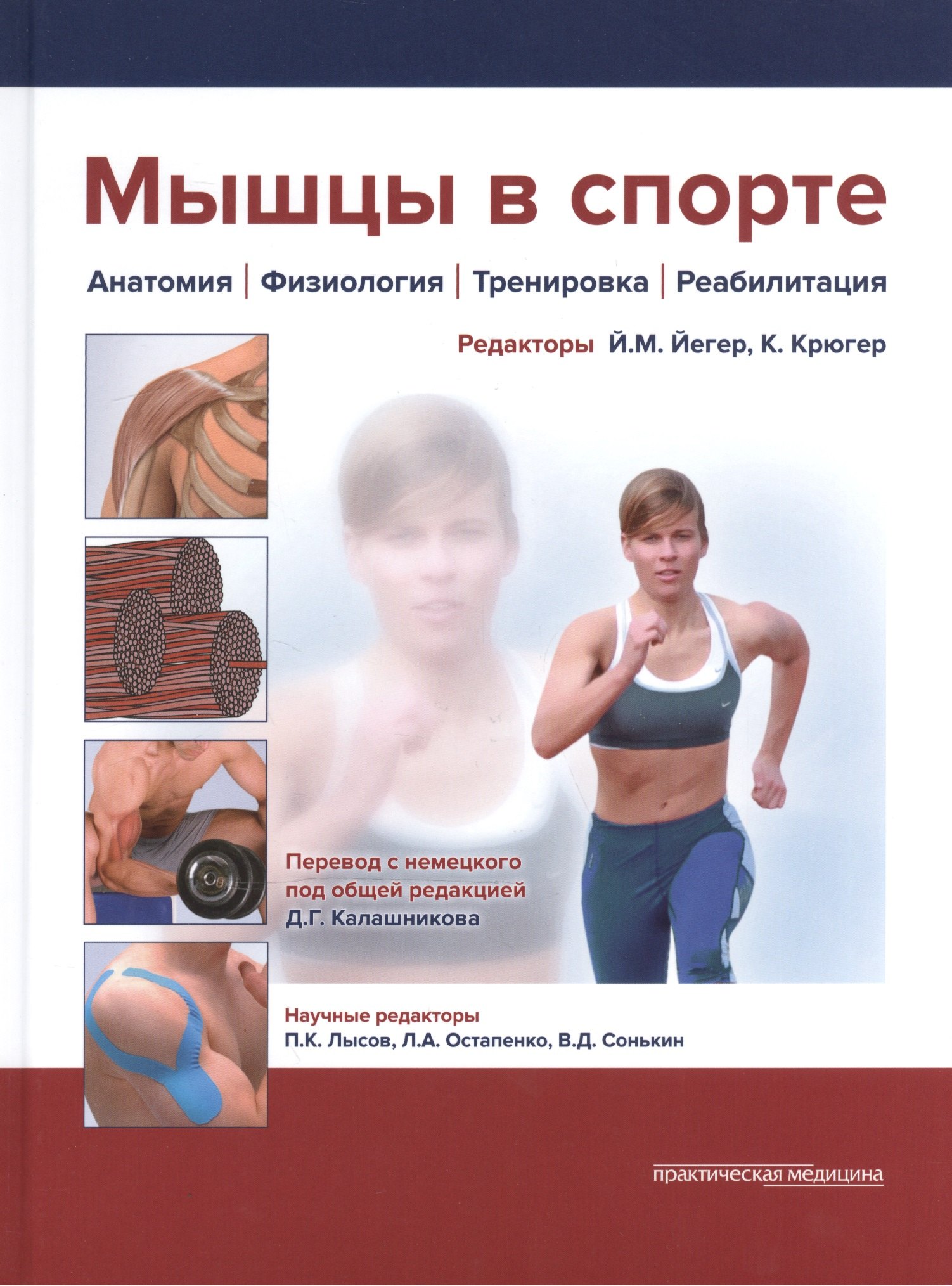 

Мышцы в спорте Анатомия Физиология Тренировка Реабилитация (Йегер)