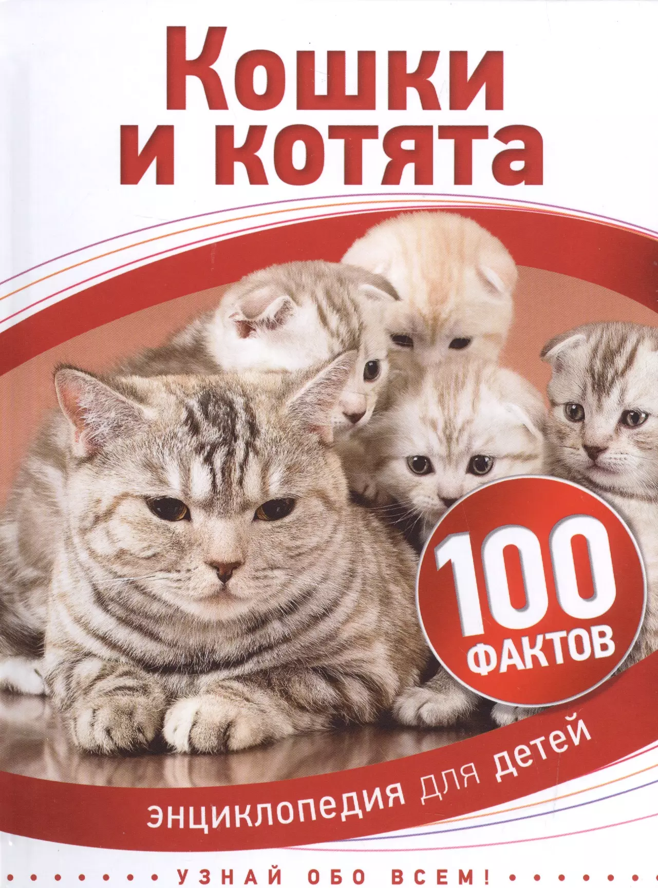  - Кошки и котята