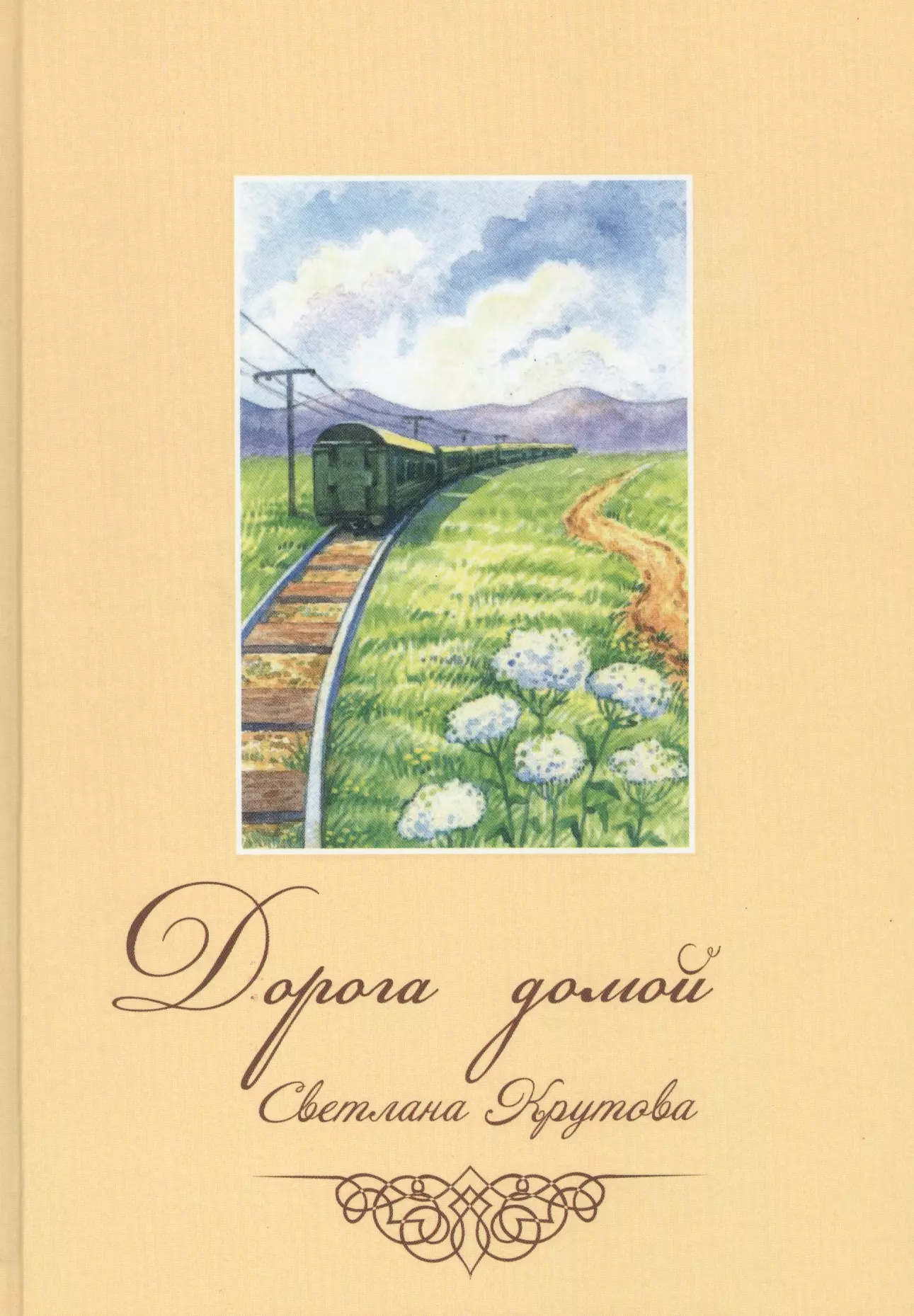 Дорога домой описание. Дорога домой книжка. Дорога домой. Руал дорога домой. Цикл дорога домой.