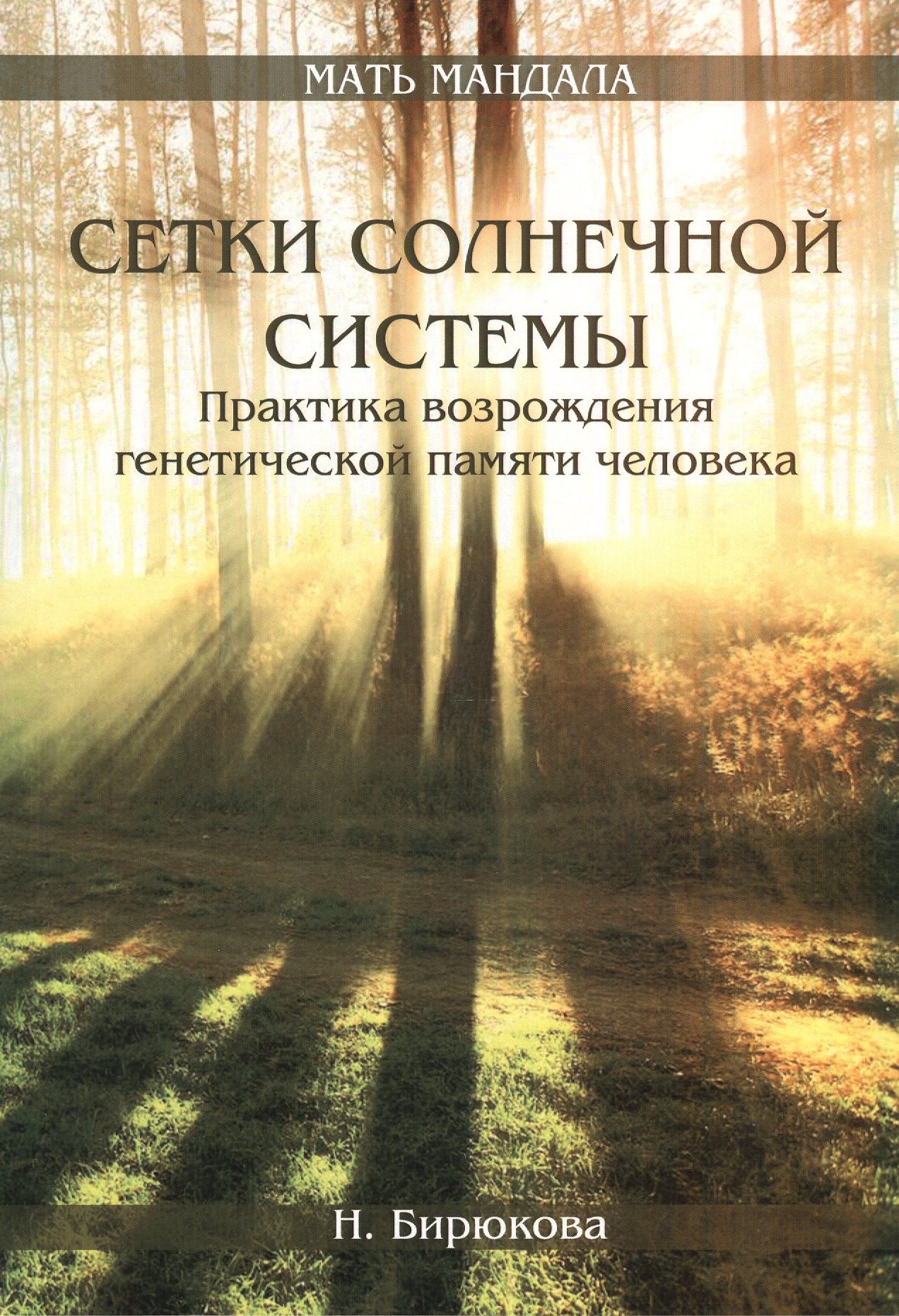 

Сетки Солнечной системы. Практика возрождения генетической памяти человека.