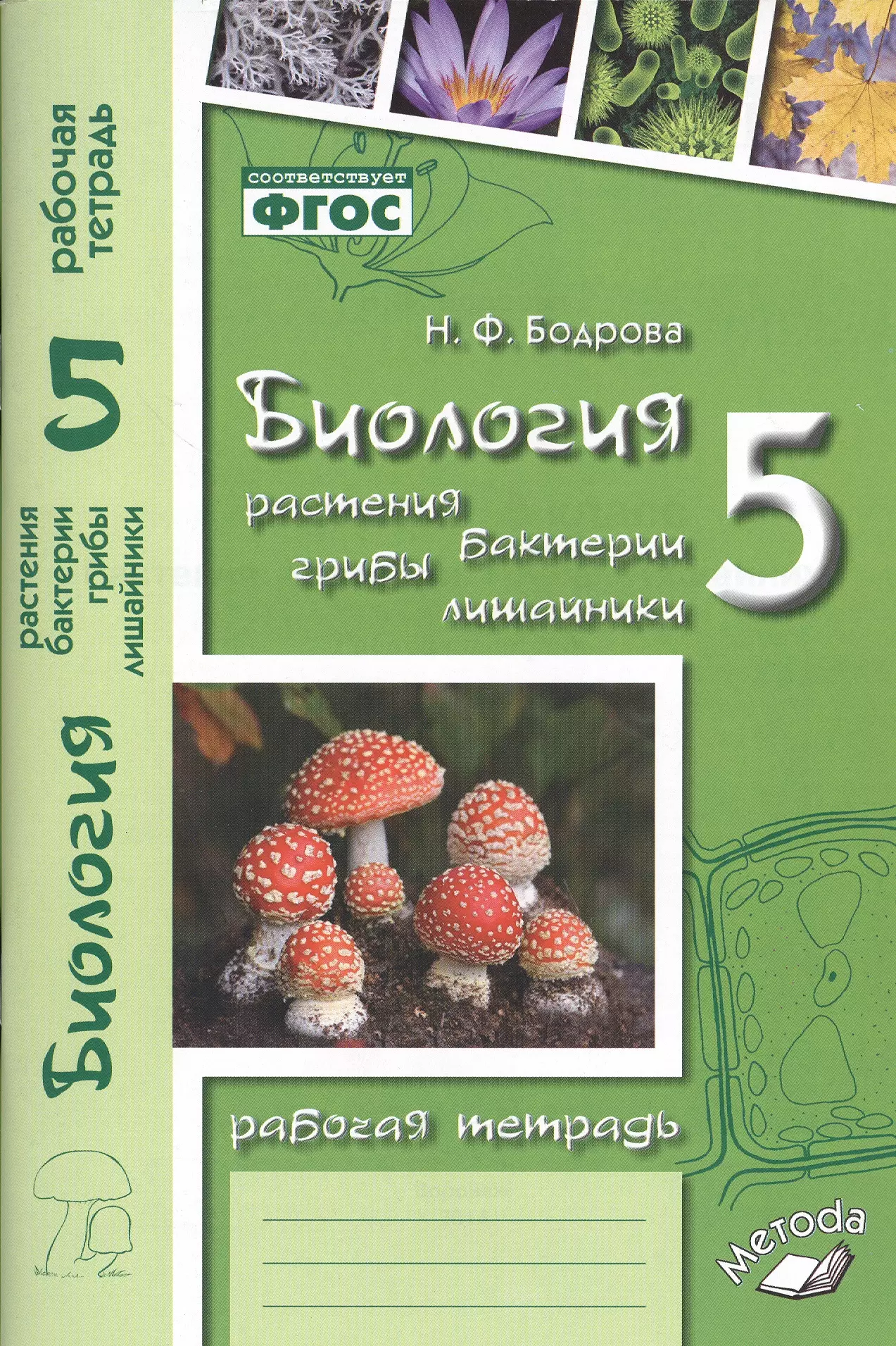 Биология 6 класс растения грибы лишайники