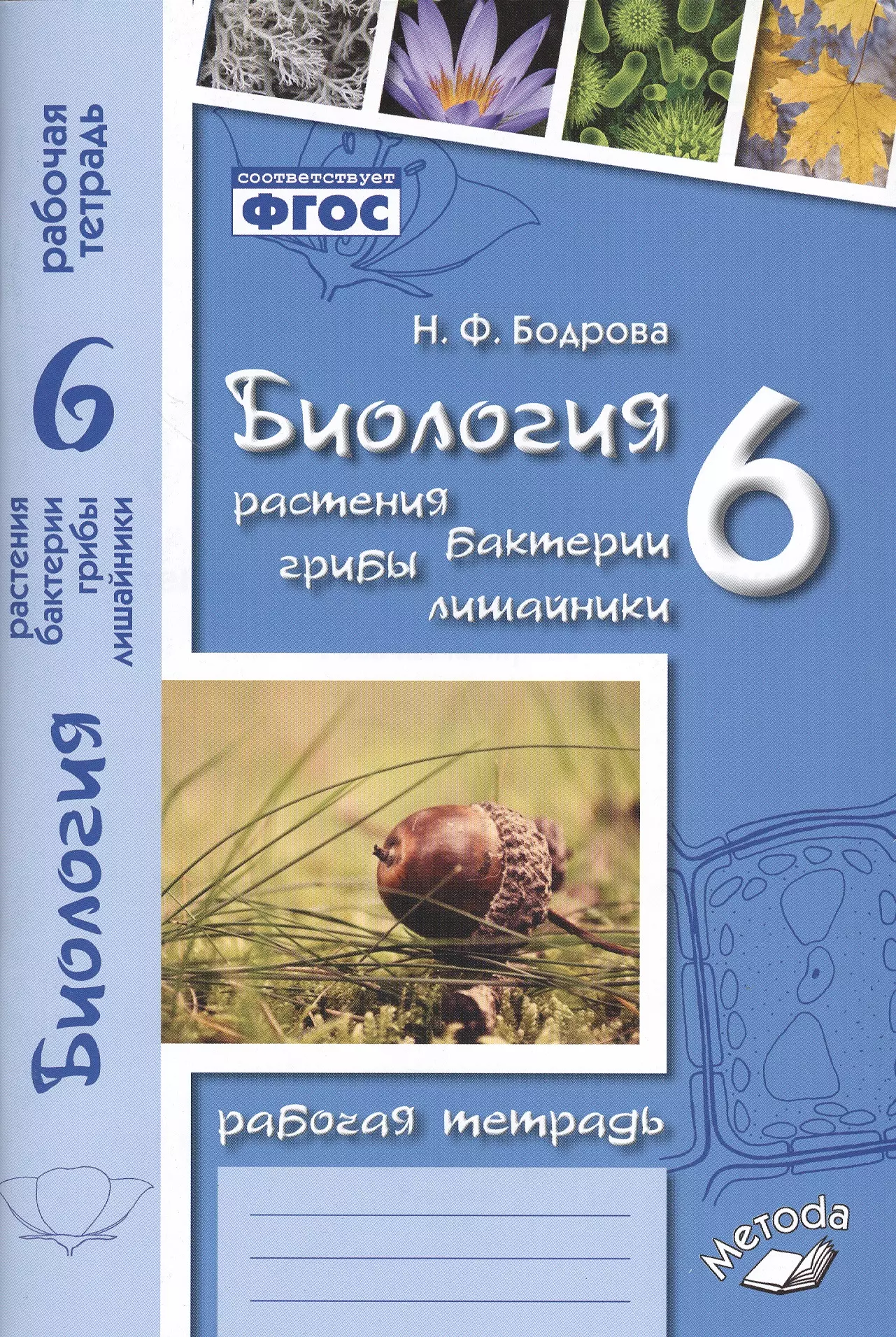 Рабочая тетрадь растений. Биология 6 класс рабочая тетрадь. Биология 6 класс рабочая тетрадь Бодрова. Биология. Растения. Бактерии. Грибы. Лишайники. 6 Класс. Рабочая тетрадь по биологии 6 класс Бодрова.