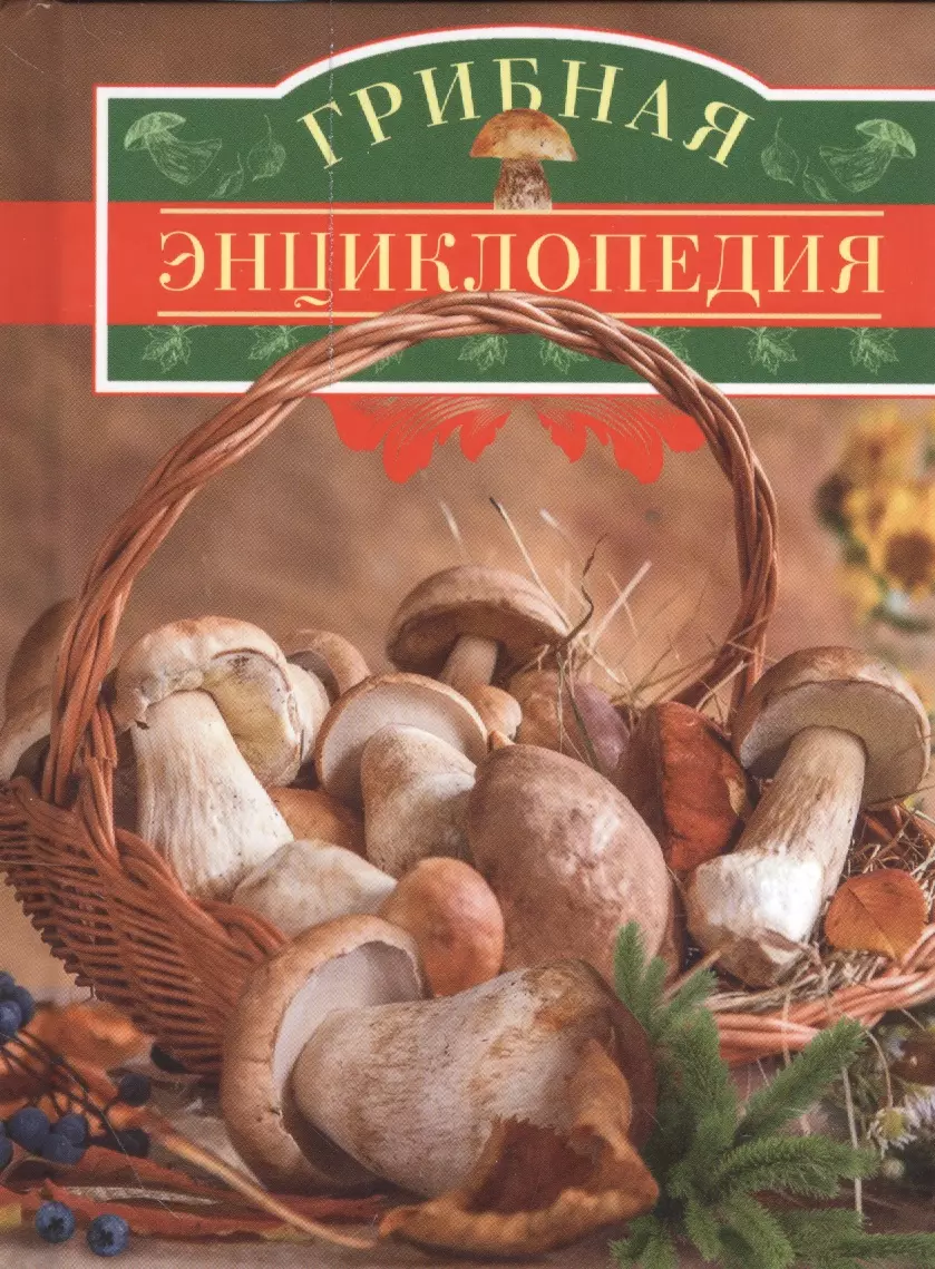 Грибная книга с картинками