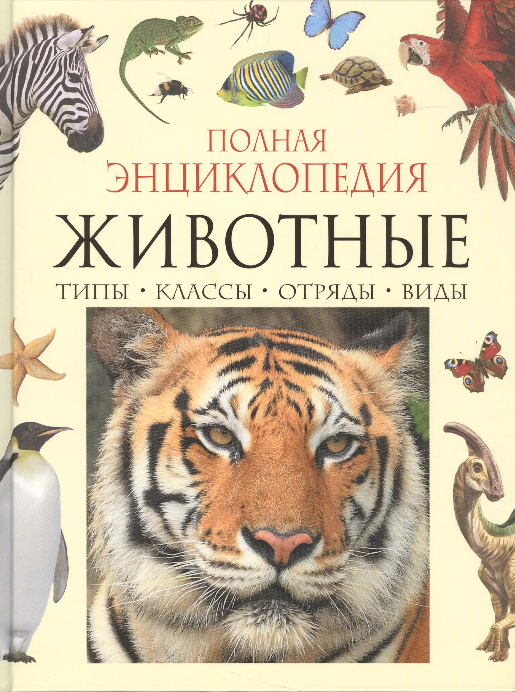 Животные авторы. Полная энциклопедия. Животные Бейко в., Березина м.. Энциклопедия животных мира книга. Энциклопедия животных для детей. Животные. Детская энциклопедия.